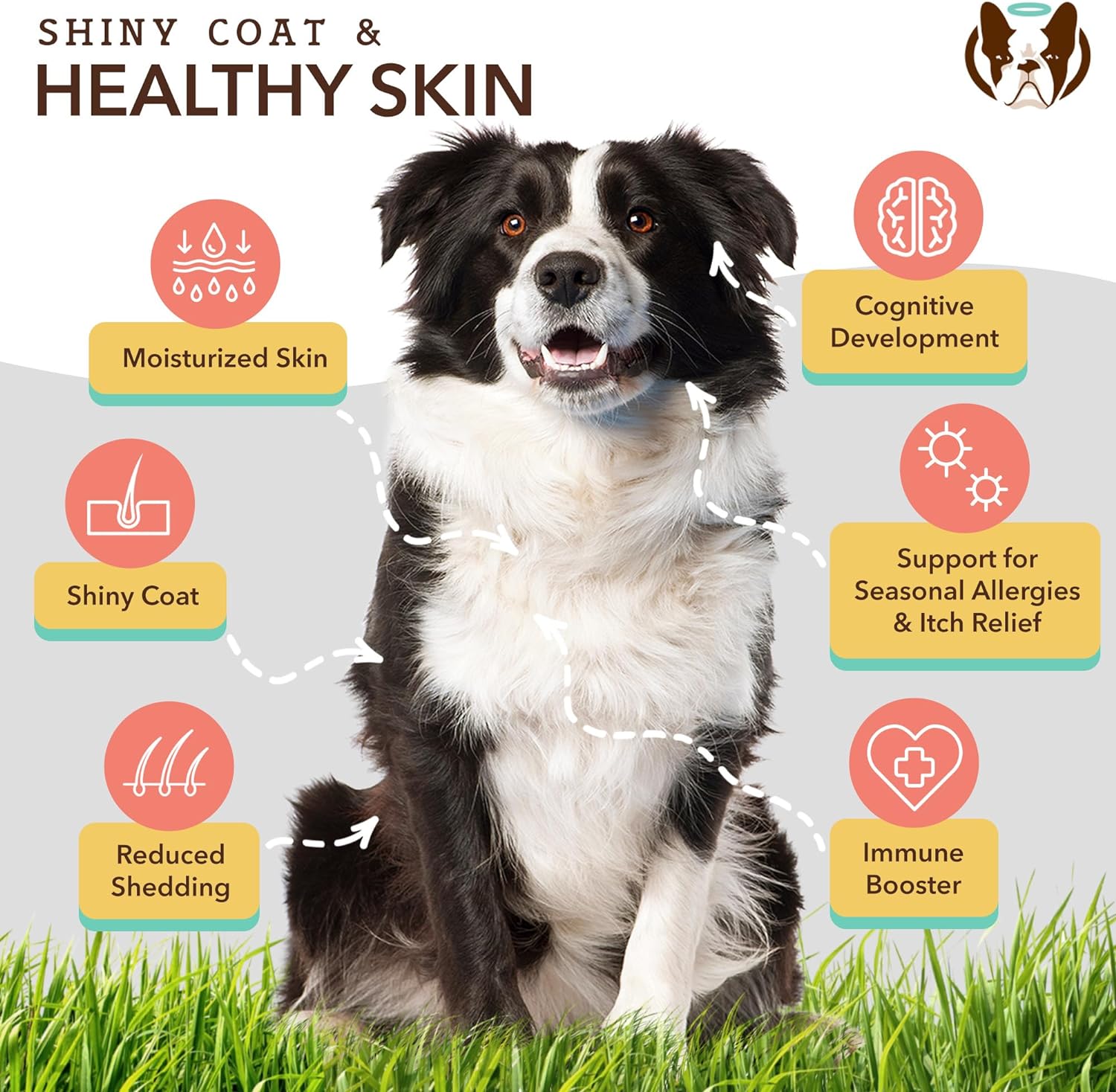 Dog Wellness Bundle: Skin & Coat, Hip & Joint, Glucosamine Supplements for Natural Health