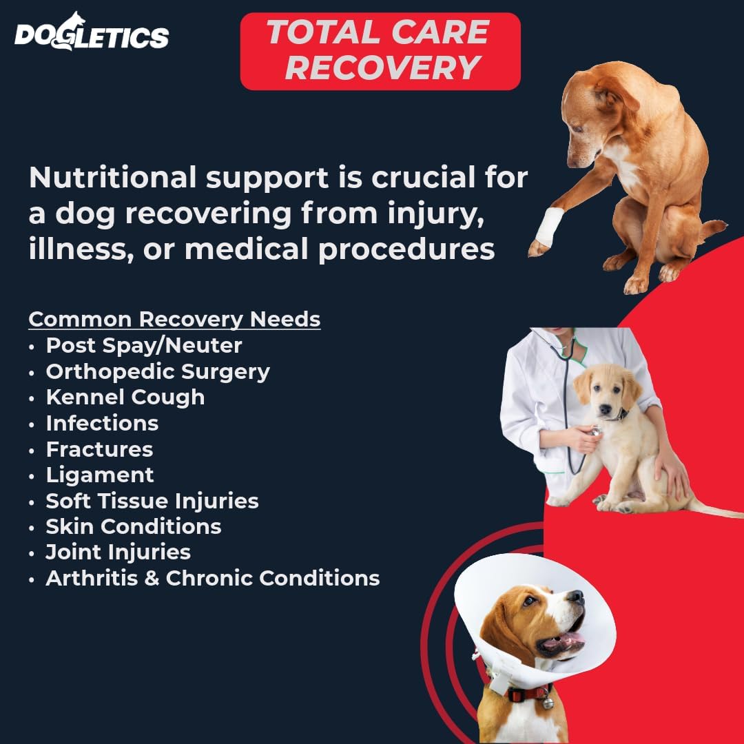 Dogletics Total Care & Recovery - Bacon Flavored Dog Support Supplements for Illness, Injury, and Chronic Health Issues (90 Count)