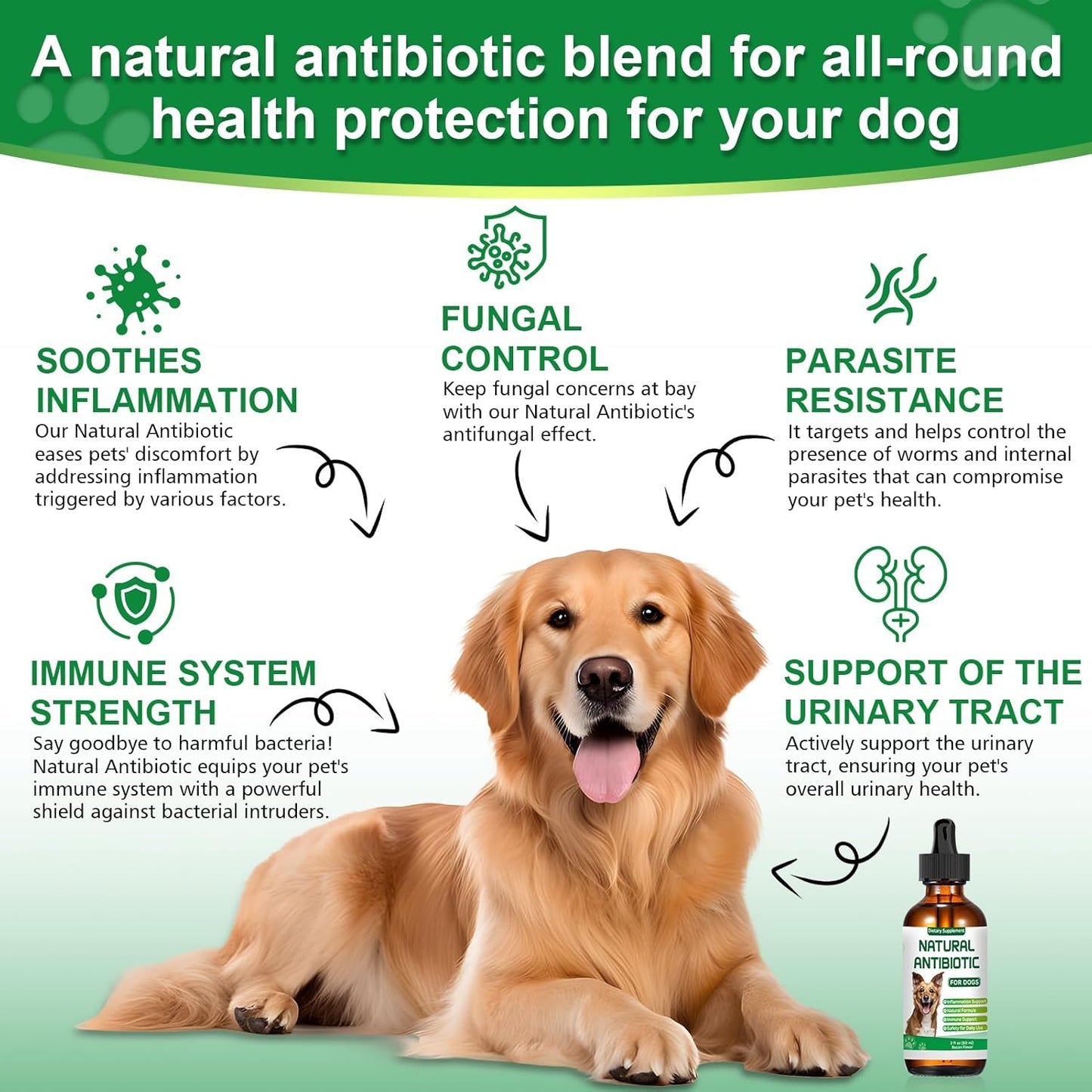 Dogs Antibiotic and Multivitamin with Allergy Relief - Natural Herbal Supplement