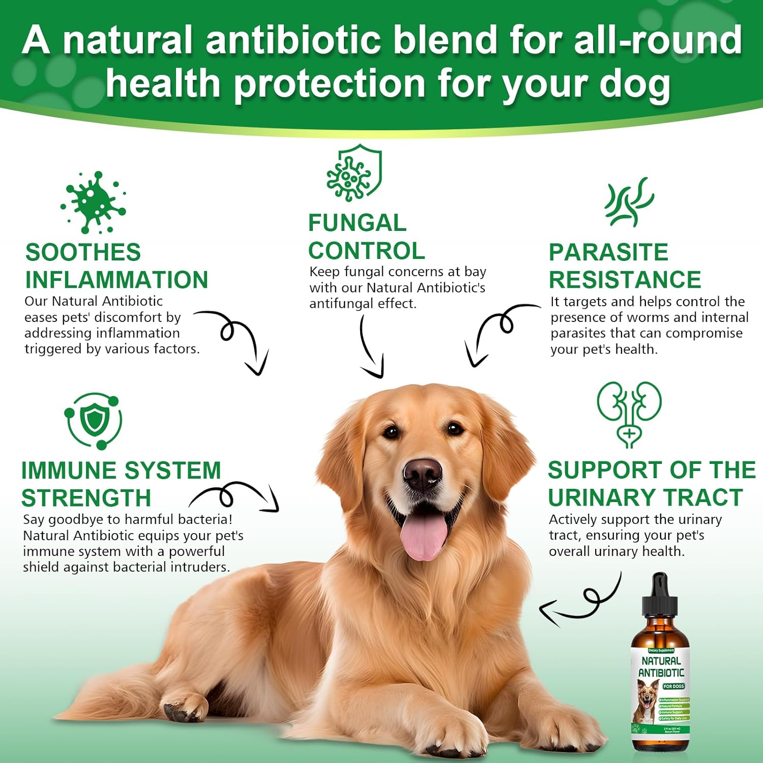 Dogs Antibiotic and Multivitamin with Allergy Relief - Natural Herbal Supplement