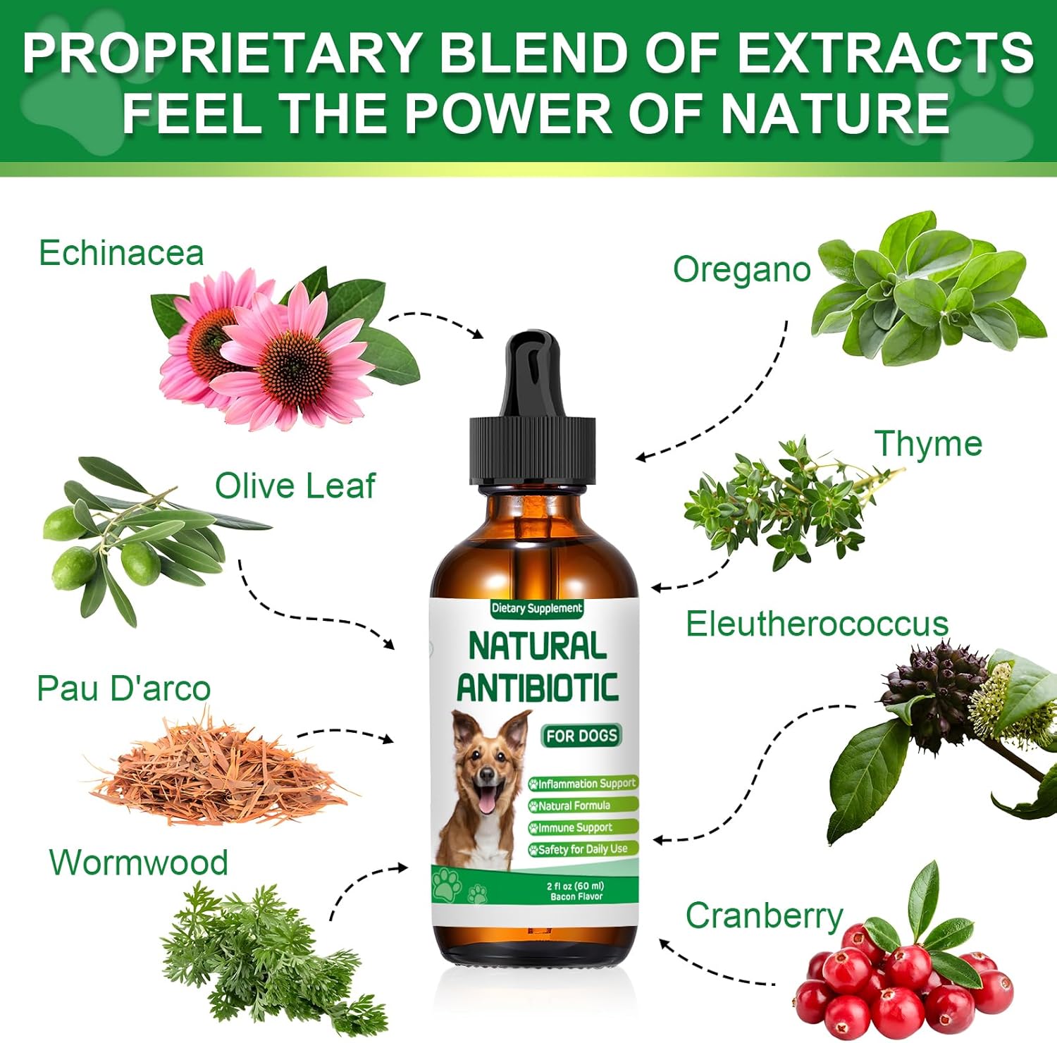 Dogs Antibiotic and Multivitamin with Allergy Relief - Natural Herbal Supplement