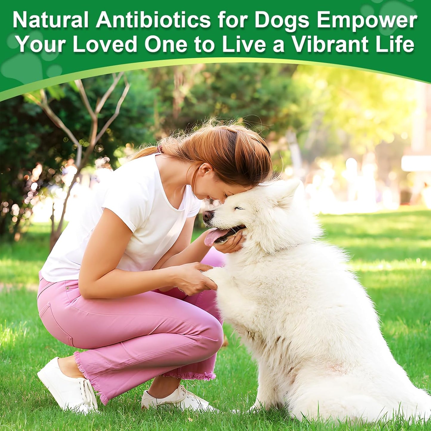 Dogs Antibiotic and Multivitamin with Allergy Relief - Natural Herbal Supplement