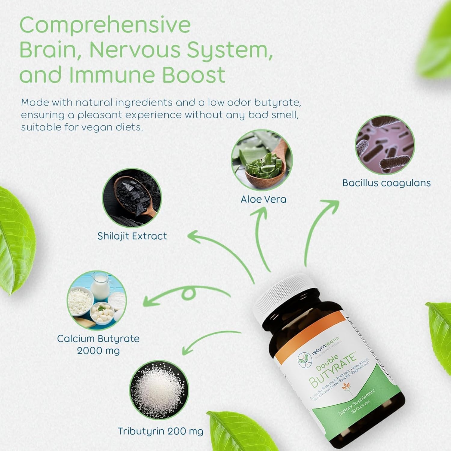 Double Butyrate Gut Health Supplement with Probiotic & Postbiotic Digestive Support - 120 Capsules, 3 Pack - Enhances Immune, Brain, & Nervous Systems - Odor-Free Formula