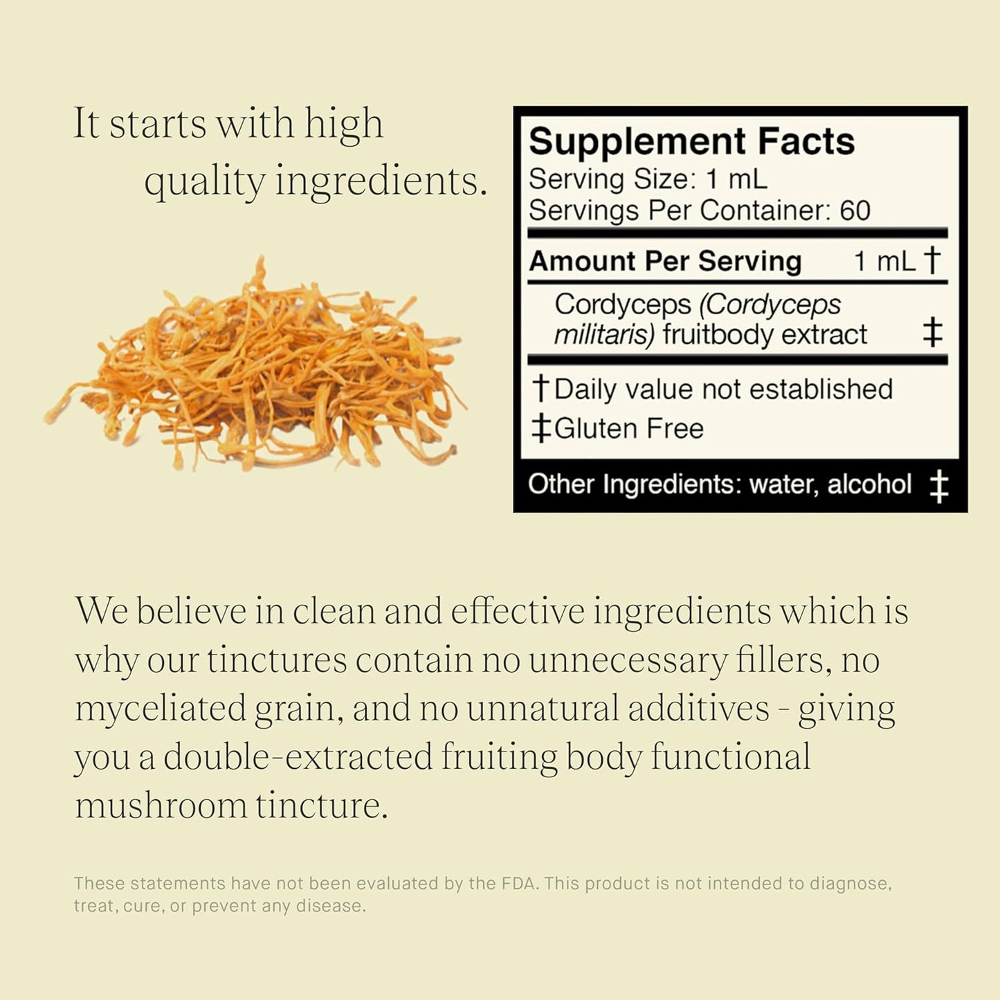 Double Extracted Cordyceps Mushroom Tincture - Natural Stamina and Endurance Support for Cardiovascular and Respiratory Health (60 Servings)