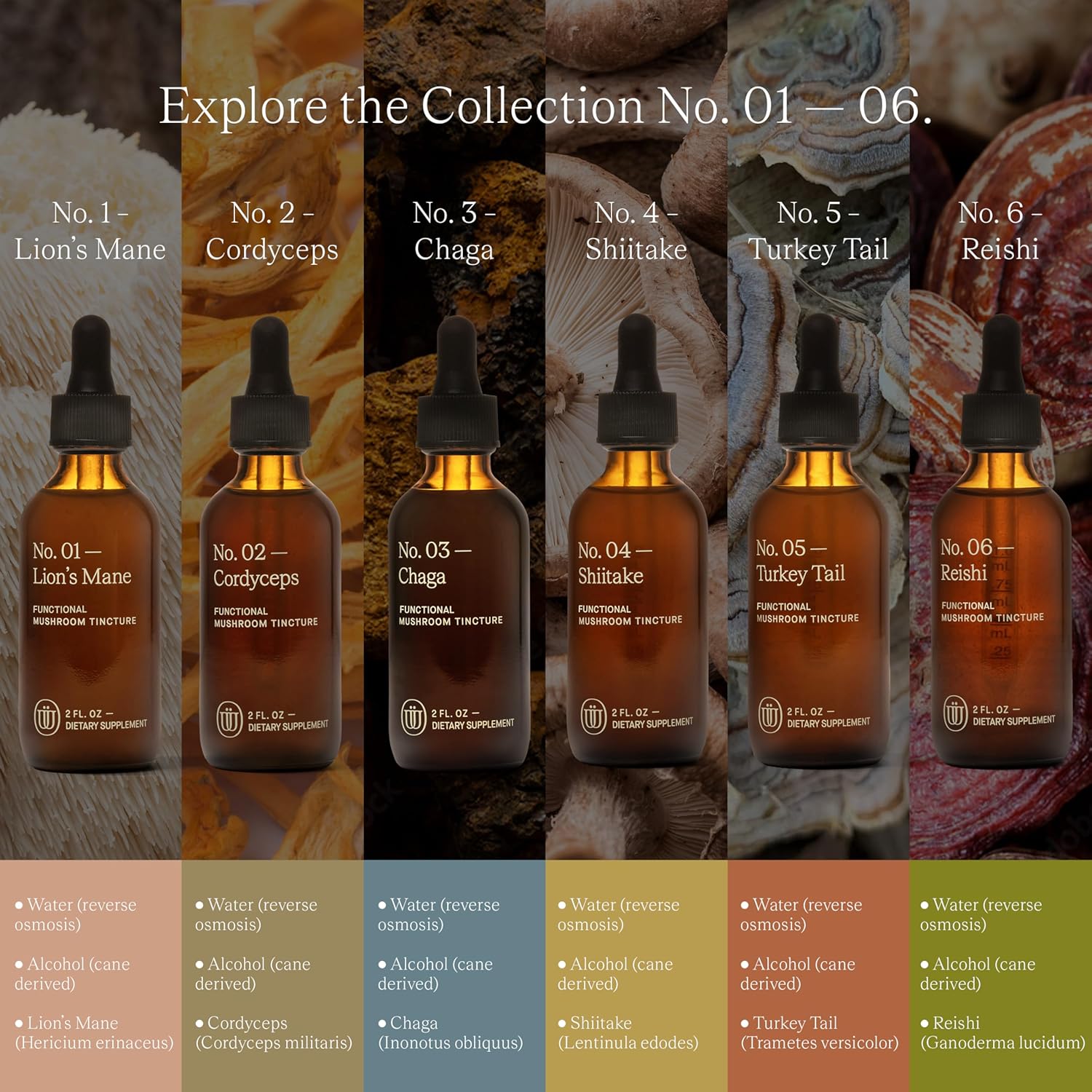 Double Extracted Cordyceps Mushroom Tincture - Natural Stamina and Endurance Support for Cardiovascular and Respiratory Health (60 Servings)