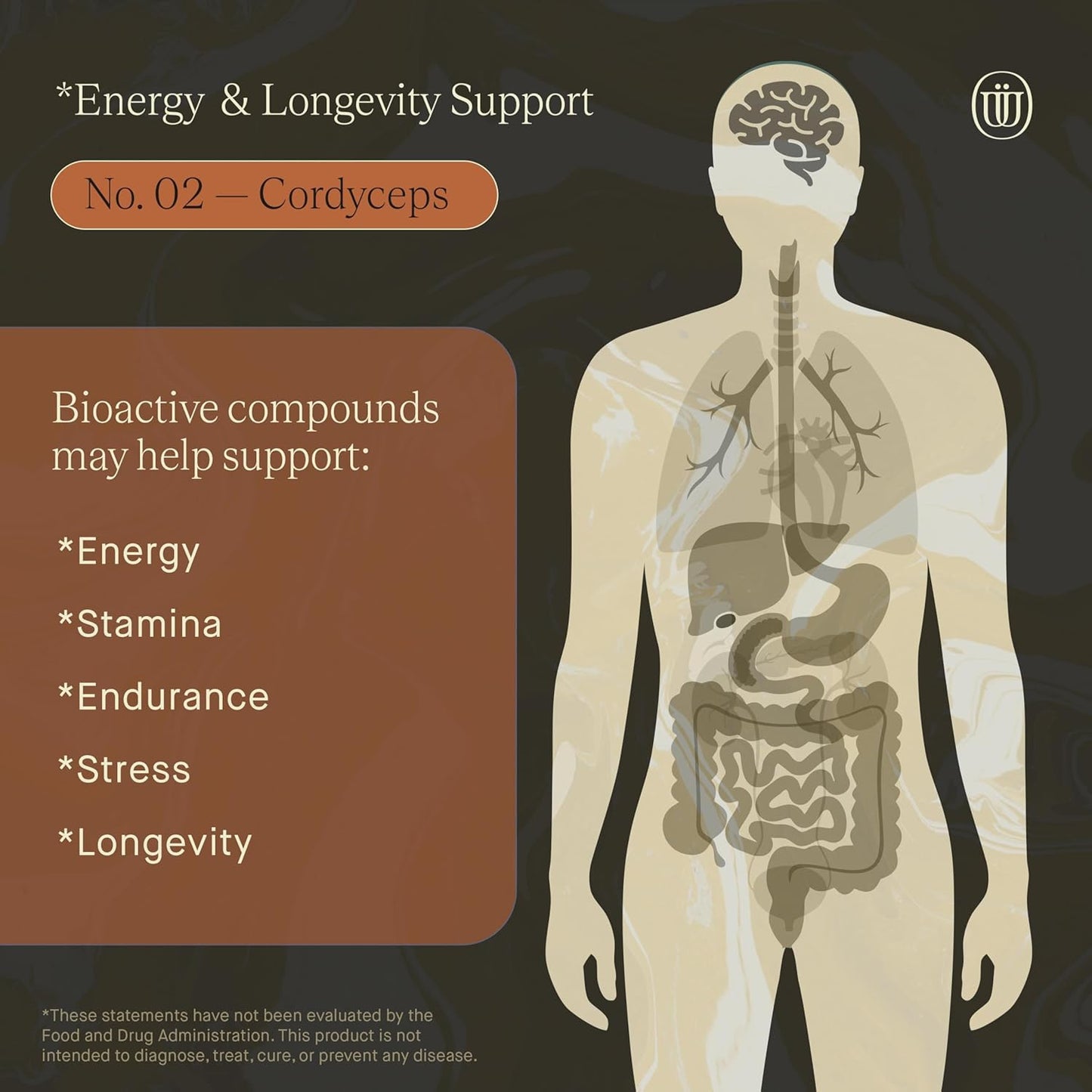 Double Extracted Cordyceps Mushroom Tincture - Natural Stamina and Endurance Support for Cardiovascular and Respiratory Health (60 Servings)