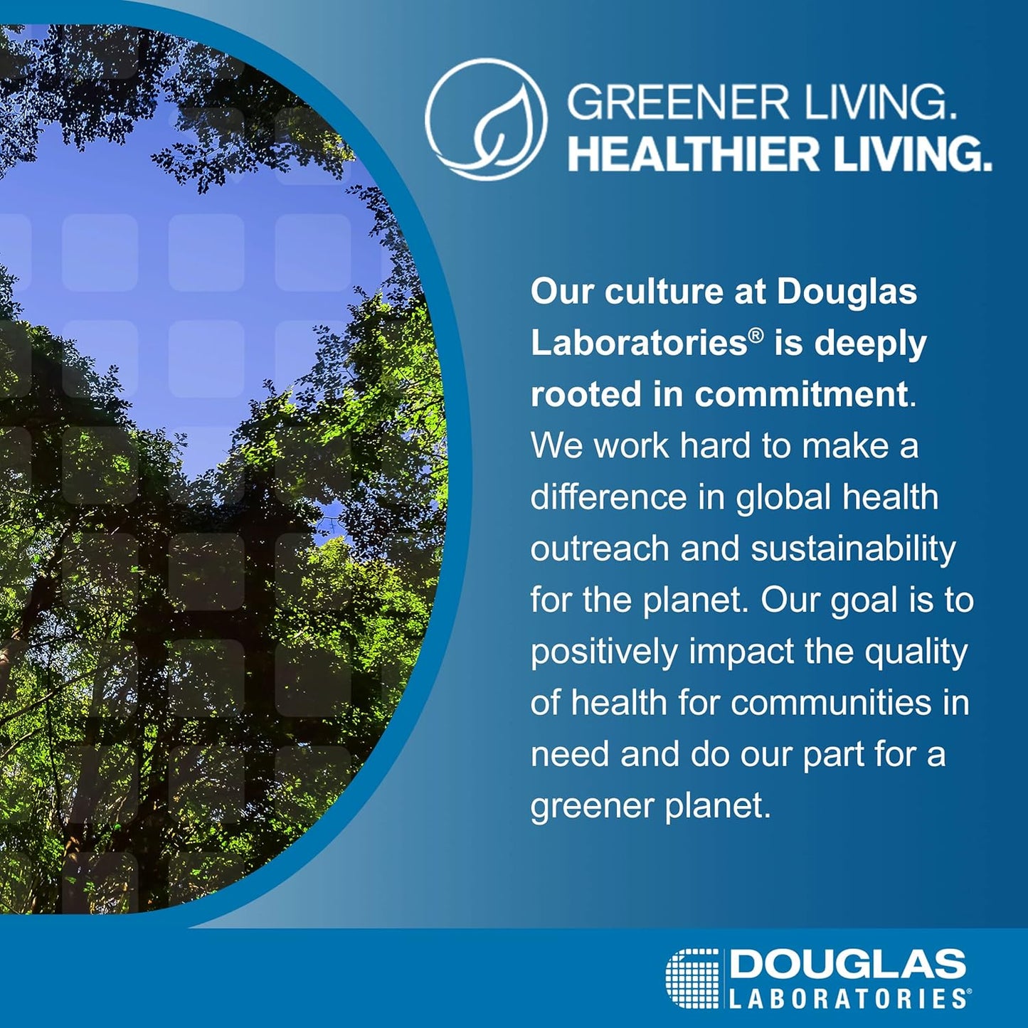Douglas Laboratories Ultra Liver Support Capsules - Promotes Liver and Digestive Health with Lipotropic Nutrients and Herbal Ingredients