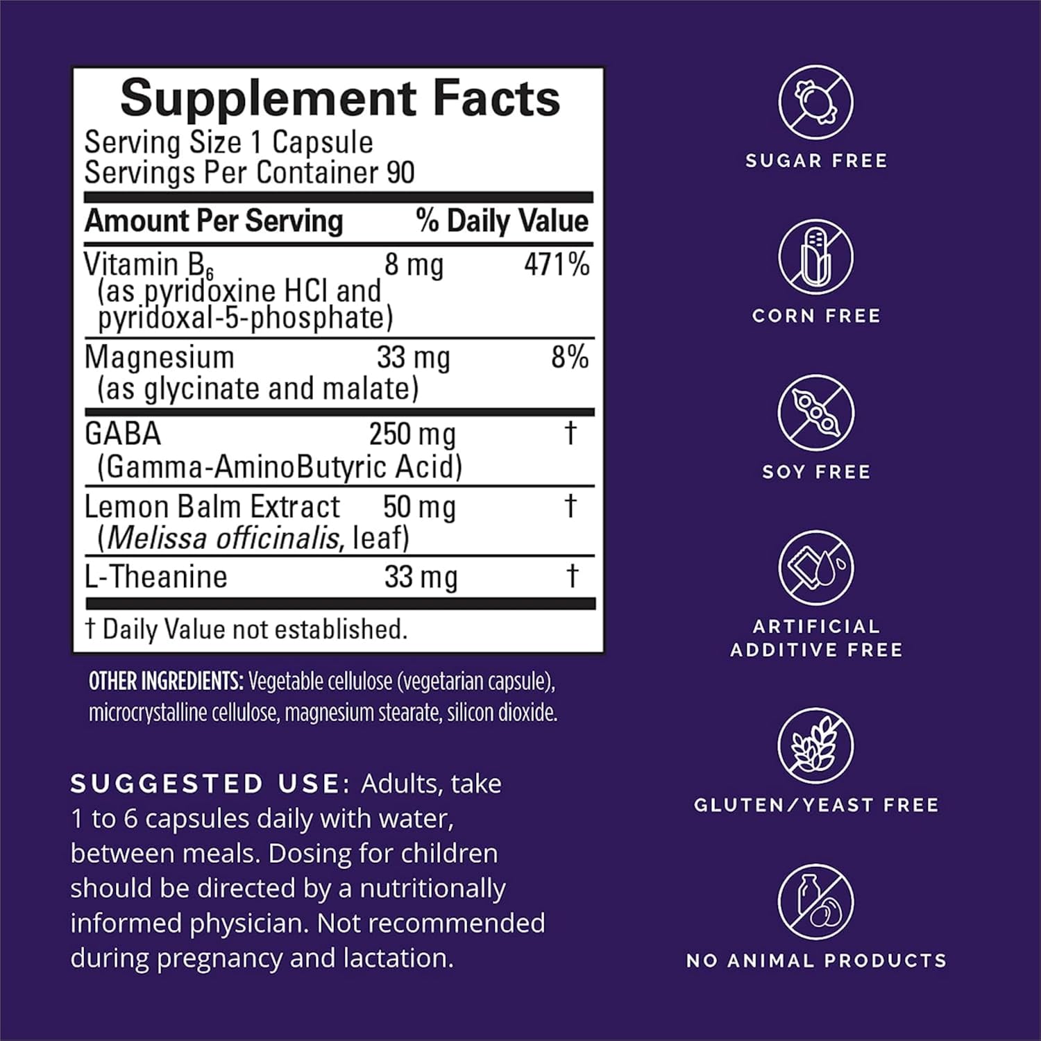 Dr Amen BrainMD GABA Calming Support Capsules - 90 Count, Pack of 2 - Relaxation Formula with Magnesium, Vitamin B6, Lemon Balm - 180 Servings