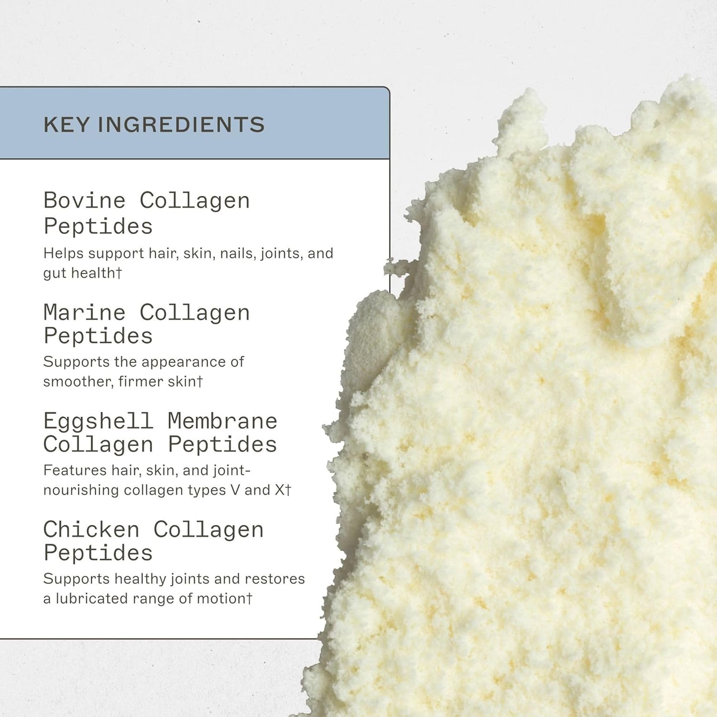 Dr. Amy Myers Spectrum 5 Collagen Peptides Powder - Multi Collagen Protein with Proprietary Blends - Chicken Bone Broth, Bovine Collagen, Fish Collagen, Eggshell - Type I, II, III, V, X