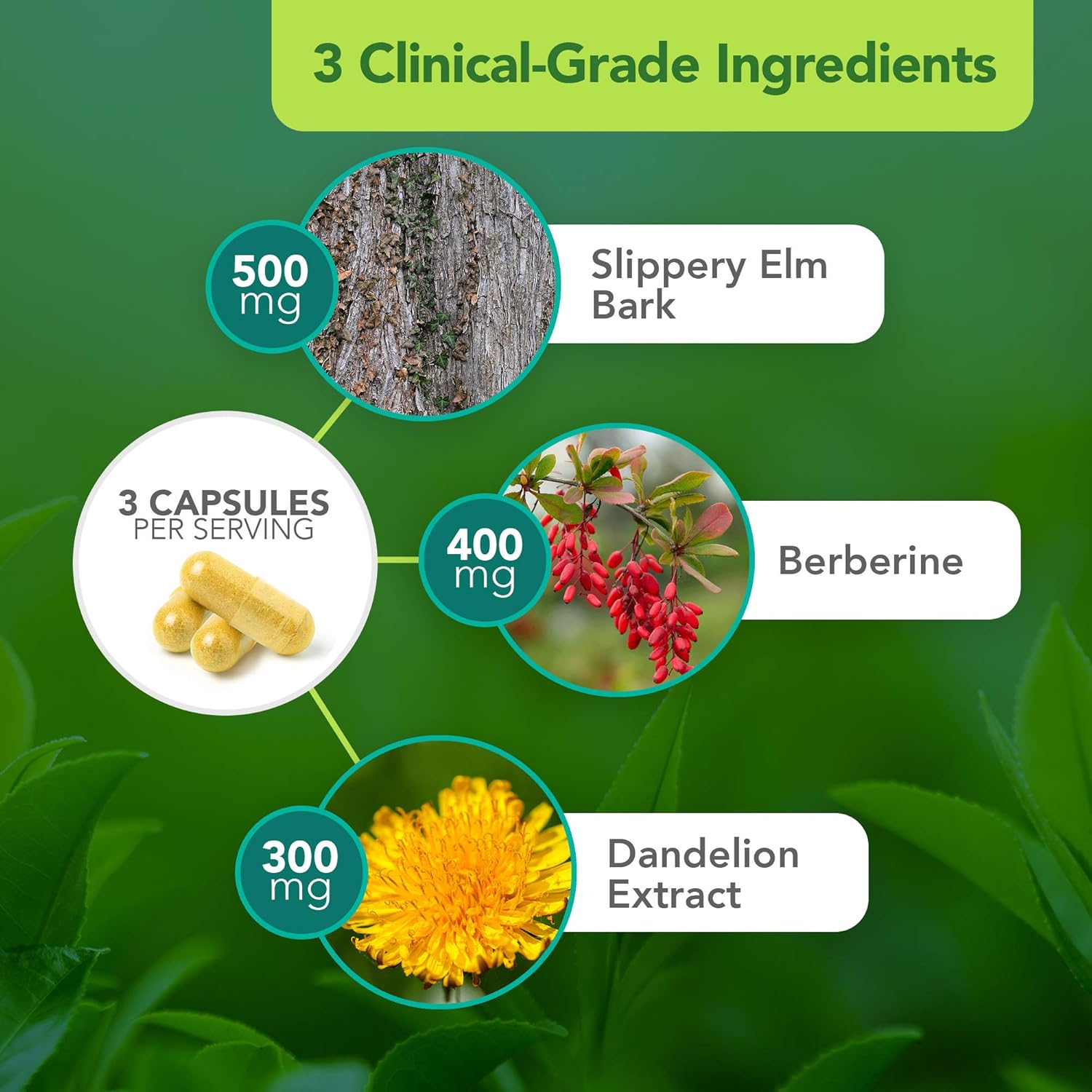 Dr. Bill Rawls Gut Balance Supplement: Advanced Digestive Health Formula with Slippery Elm, Berberine, Dandelion Extract - 180 Capsules for Women & Men