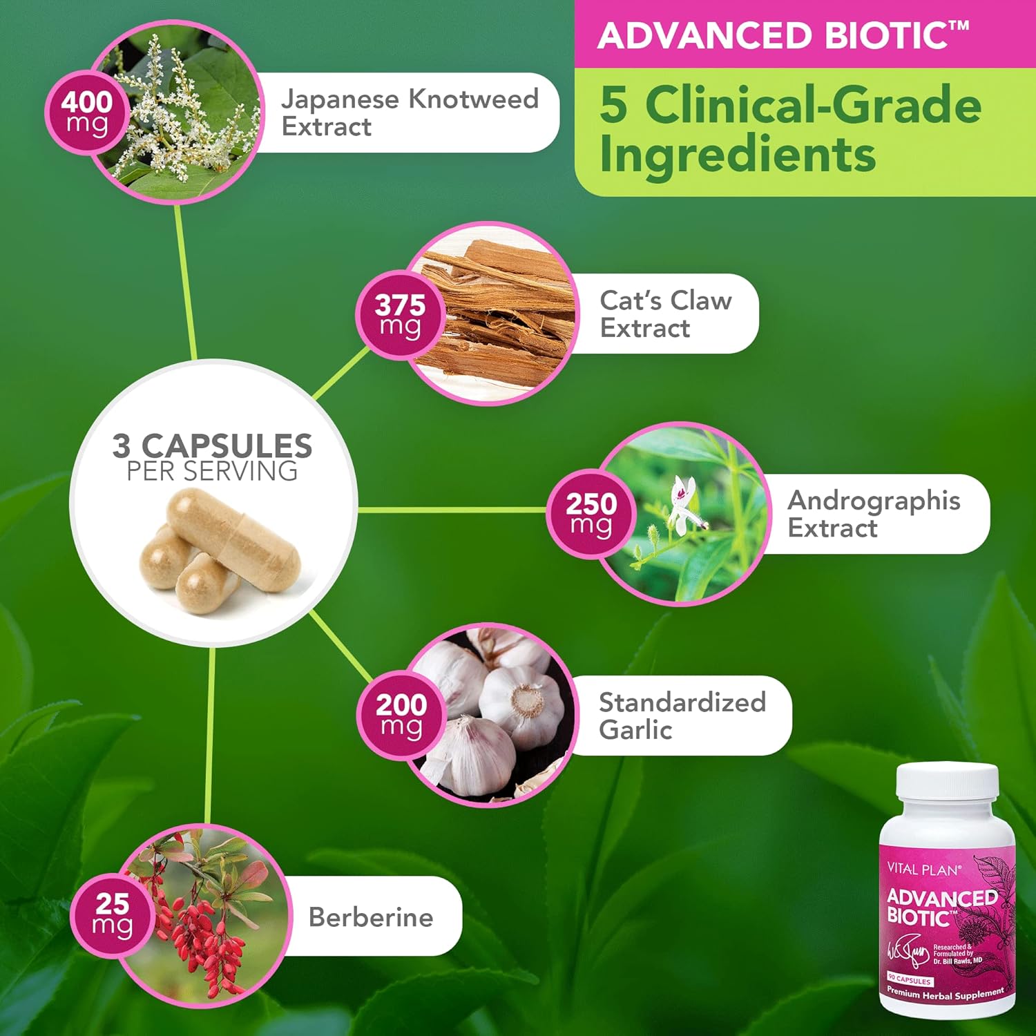 Dr. Bill Rawls Immune Support Supplements Bundle with Japanese Knotweed, Cat's Claw, Chinese Skullcap & Reishi Mushroom