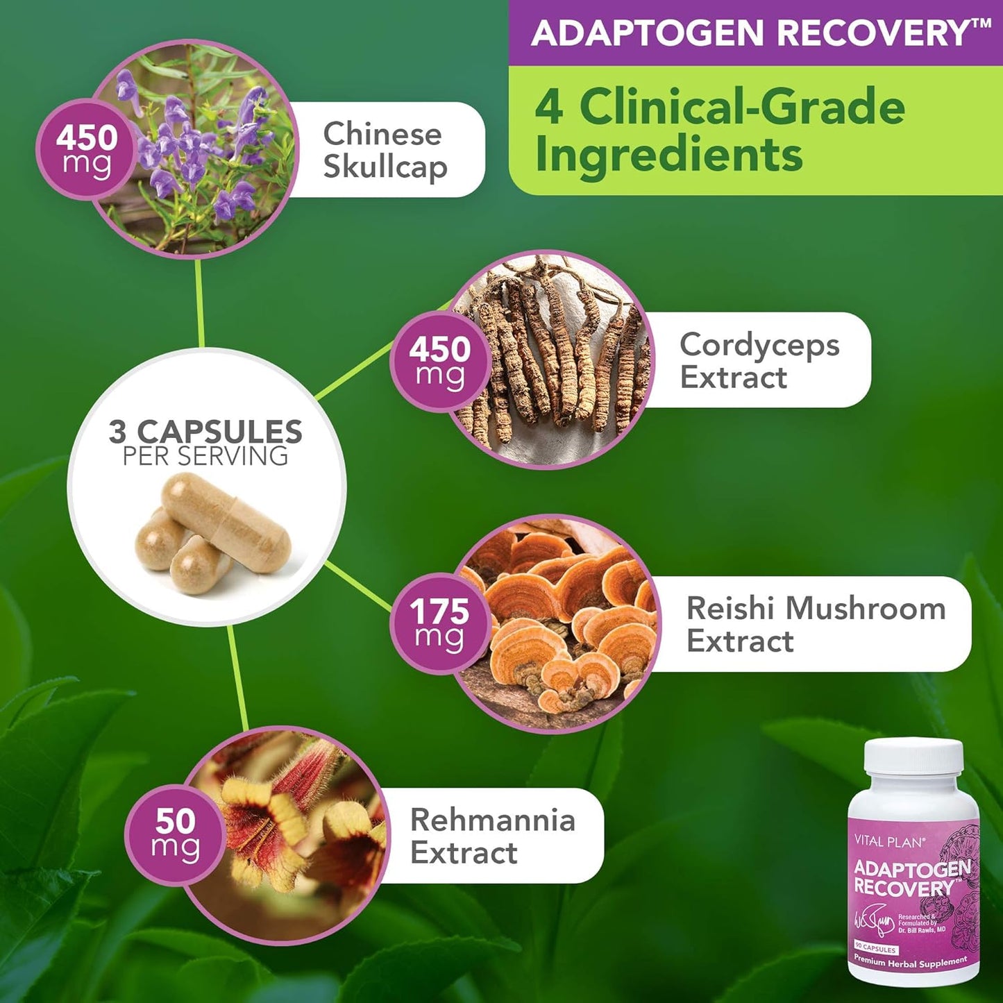 Dr. Bill Rawls Immune Support Supplements Bundle with Japanese Knotweed, Cat's Claw, Chinese Skullcap & Reishi Mushroom