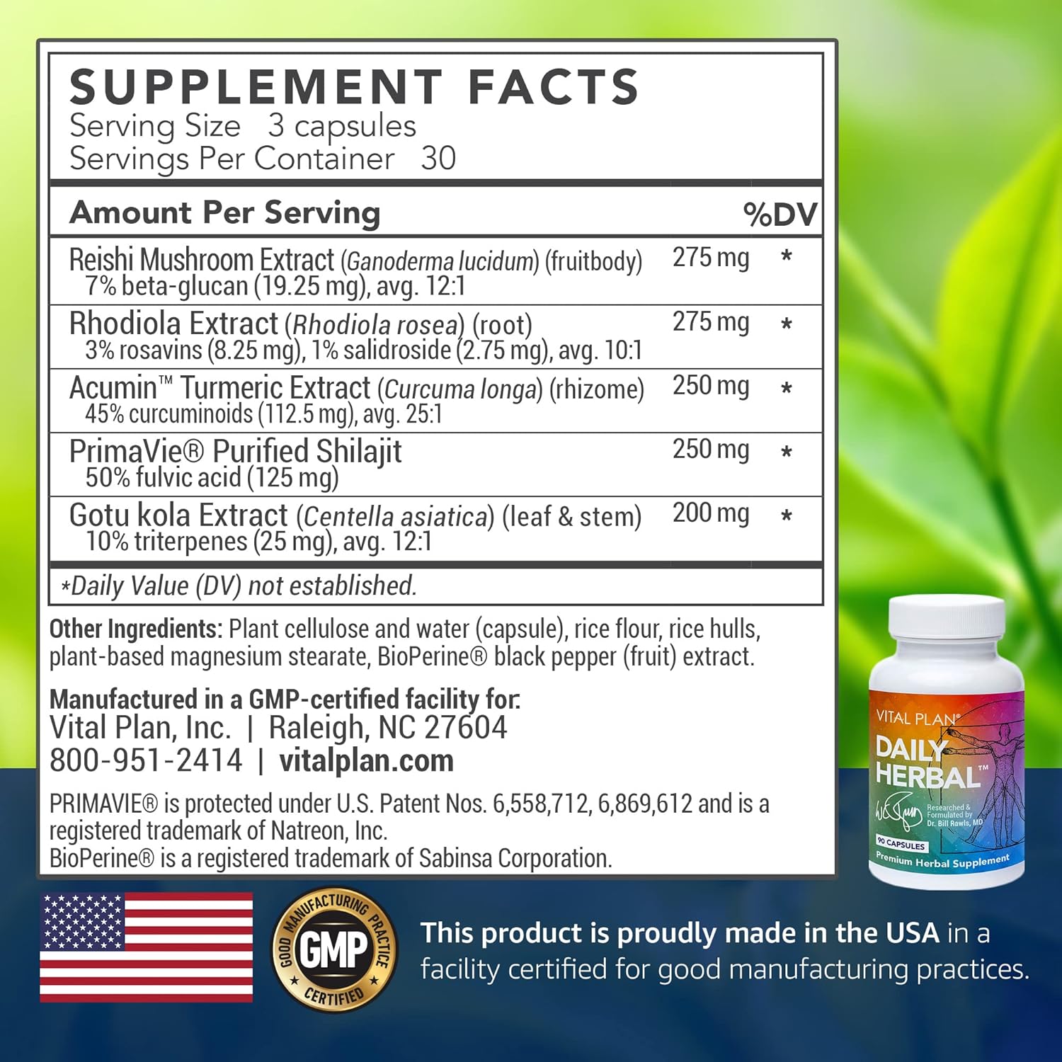 Dr. Bill Rawls Vital Plan Daily Herbal Supplement - Immunity Booster with Reishi Mushroom, Turmeric, Rhodiola for Immune Support & Cell Health