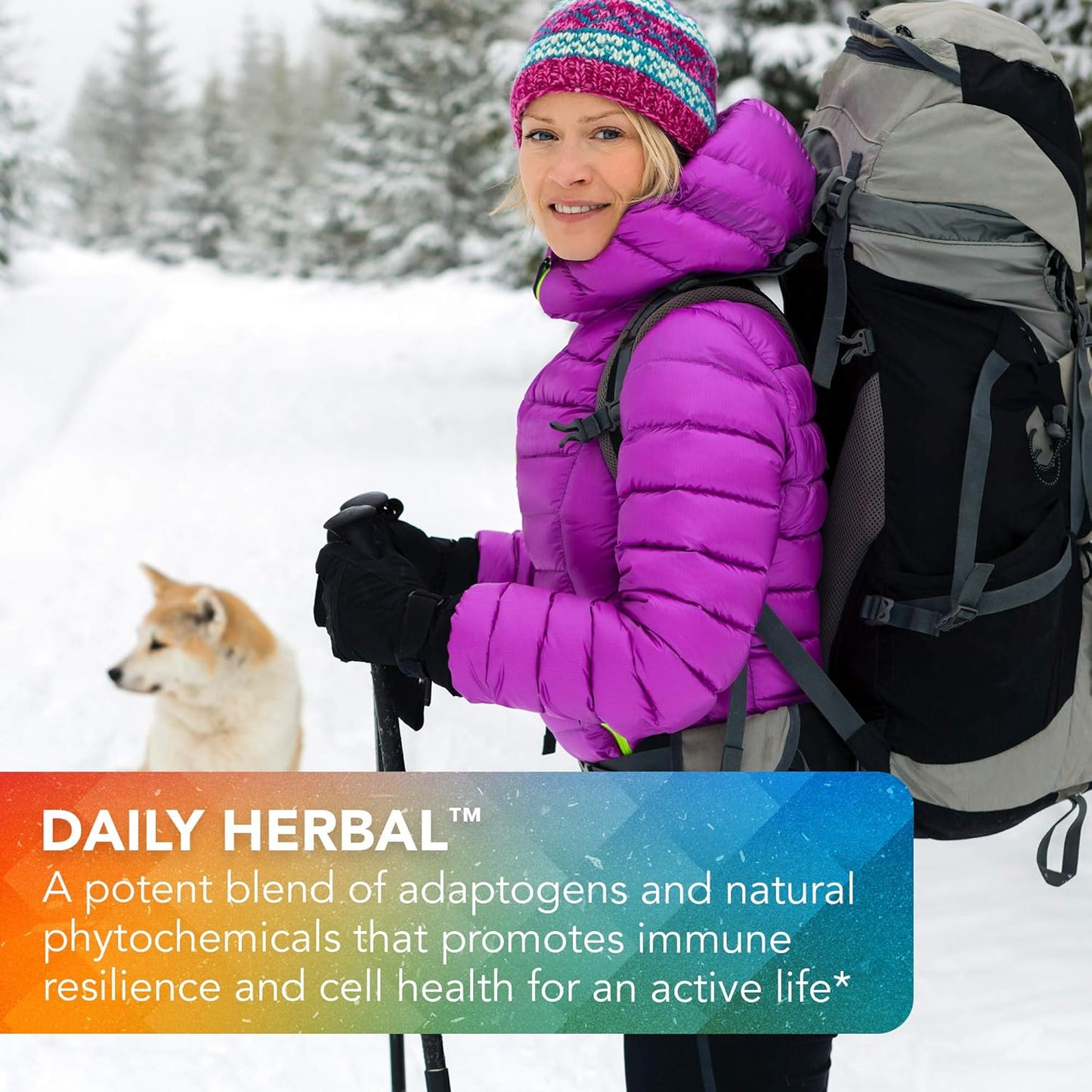 Dr. Bill Rawls Vital Plan Daily Herbal Supplement - Immunity Booster with Reishi Mushroom, Turmeric, Rhodiola for Immune Support & Cell Health