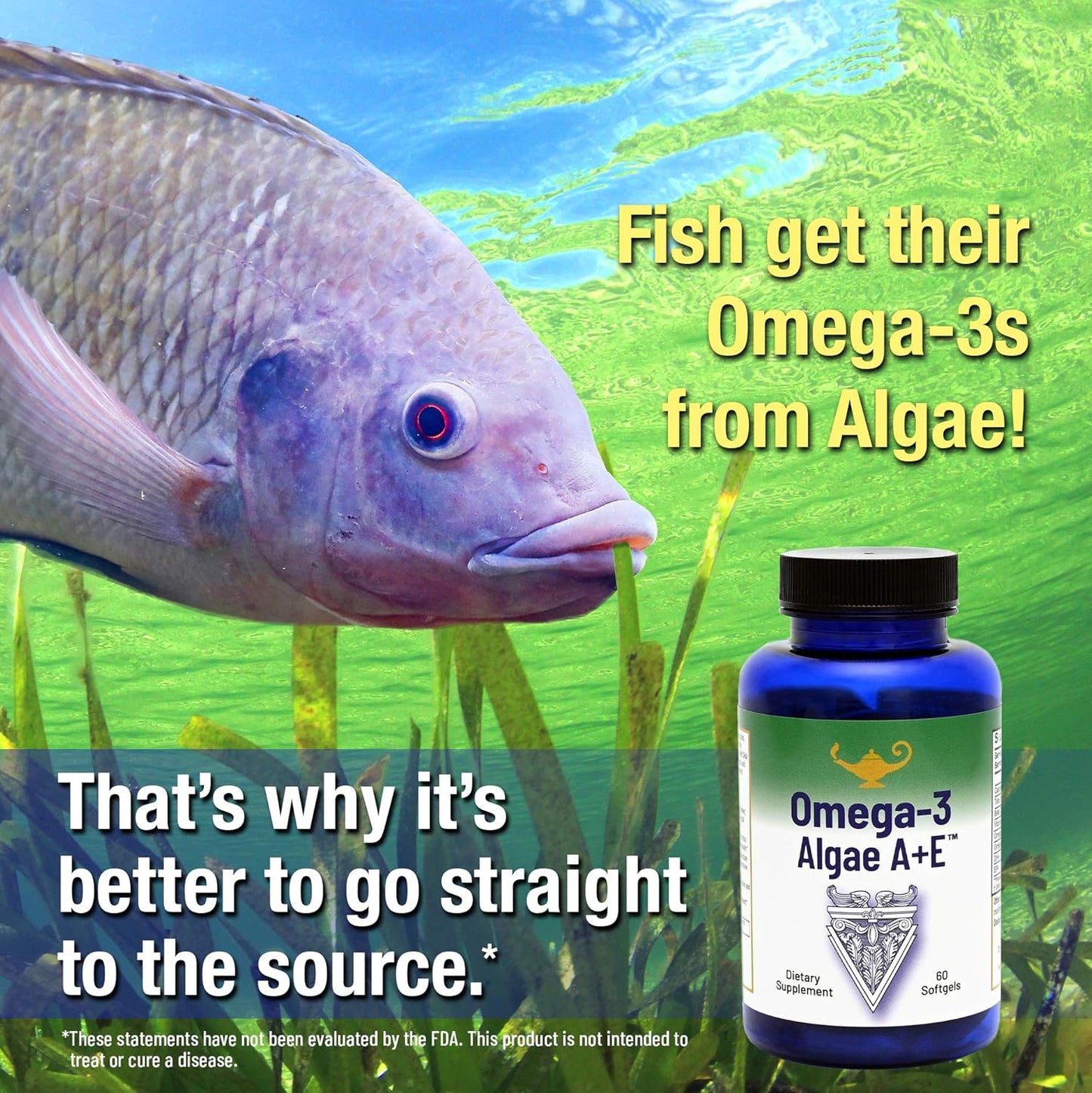 Dr. Carolyn Dean's Omega-3 Algae A+E Plant Based DHA & EPA Fatty Acids - Vegan Alternative to Fish Oil - Supports Heart, Brain, Joint Health - with Vitamin A and E