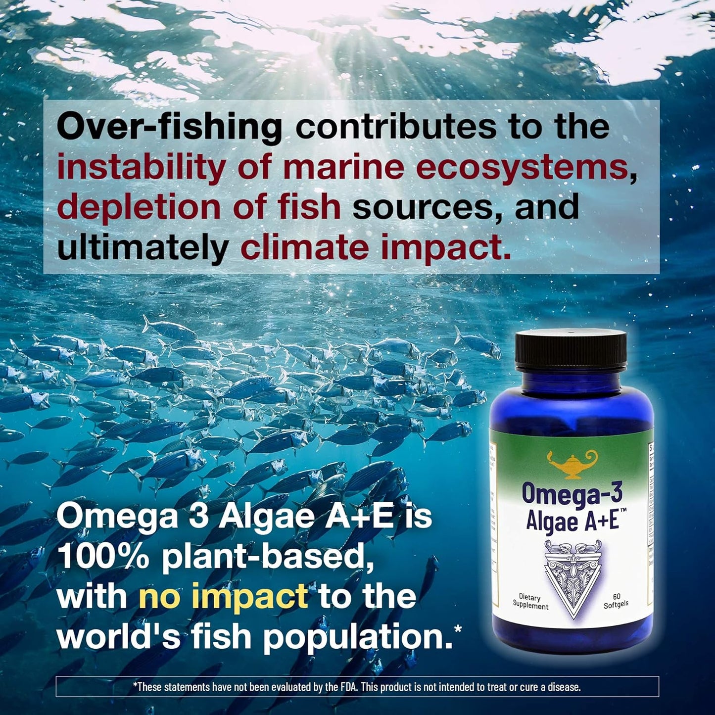 Dr. Carolyn Dean's Omega-3 Algae A+E Plant Based DHA & EPA Fatty Acids - Vegan Alternative to Fish Oil - Supports Heart, Brain, Joint Health - with Vitamin A and E