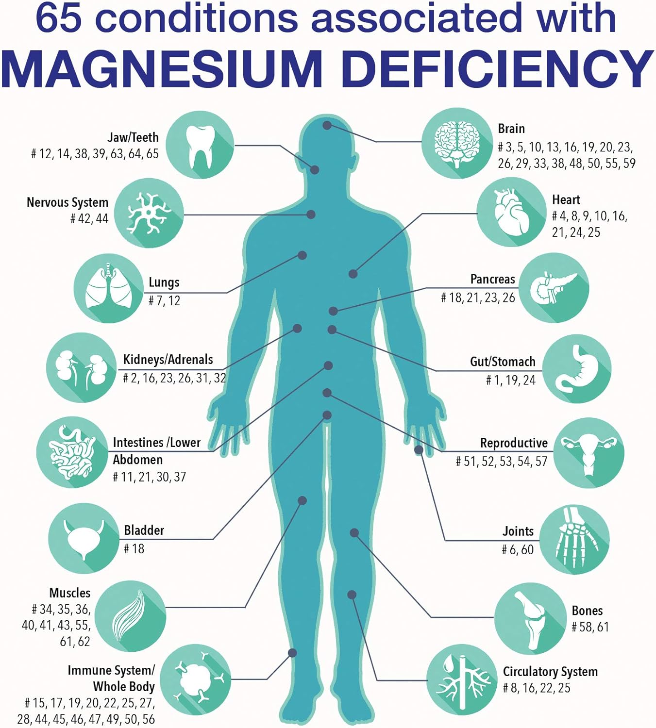 Dr. Carolyn Dean's ReMag Pico-Ionic Liquid Magnesium for Complete Absorption - The Magnesium Miracle - 16.2 fl oz