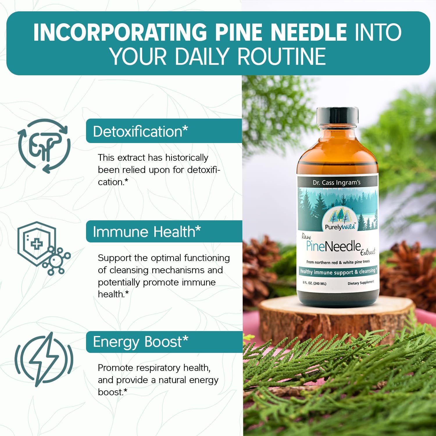Dr. Cass Ingram PURELY WILD Pine Needle Extract Supplement - Immune Support with Pine, Spruce, Oregano Oil & Apple Cider Vinegar - 8 fl oz