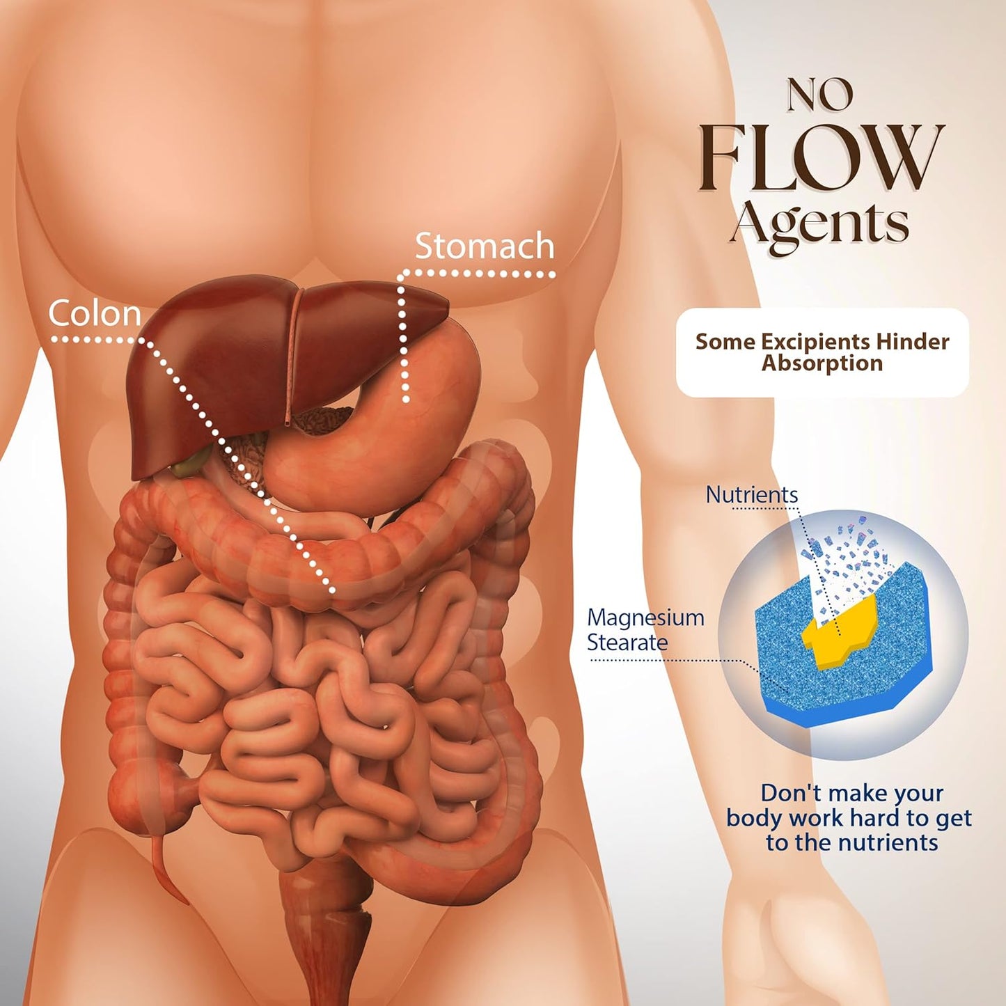Dr. Clark Lugol’s Iodine 1 fl. Oz + Betaine HCL Digestive Enzymes 425 mg + Cloves Healthcare Supplement 500 mg by Dr. Clark