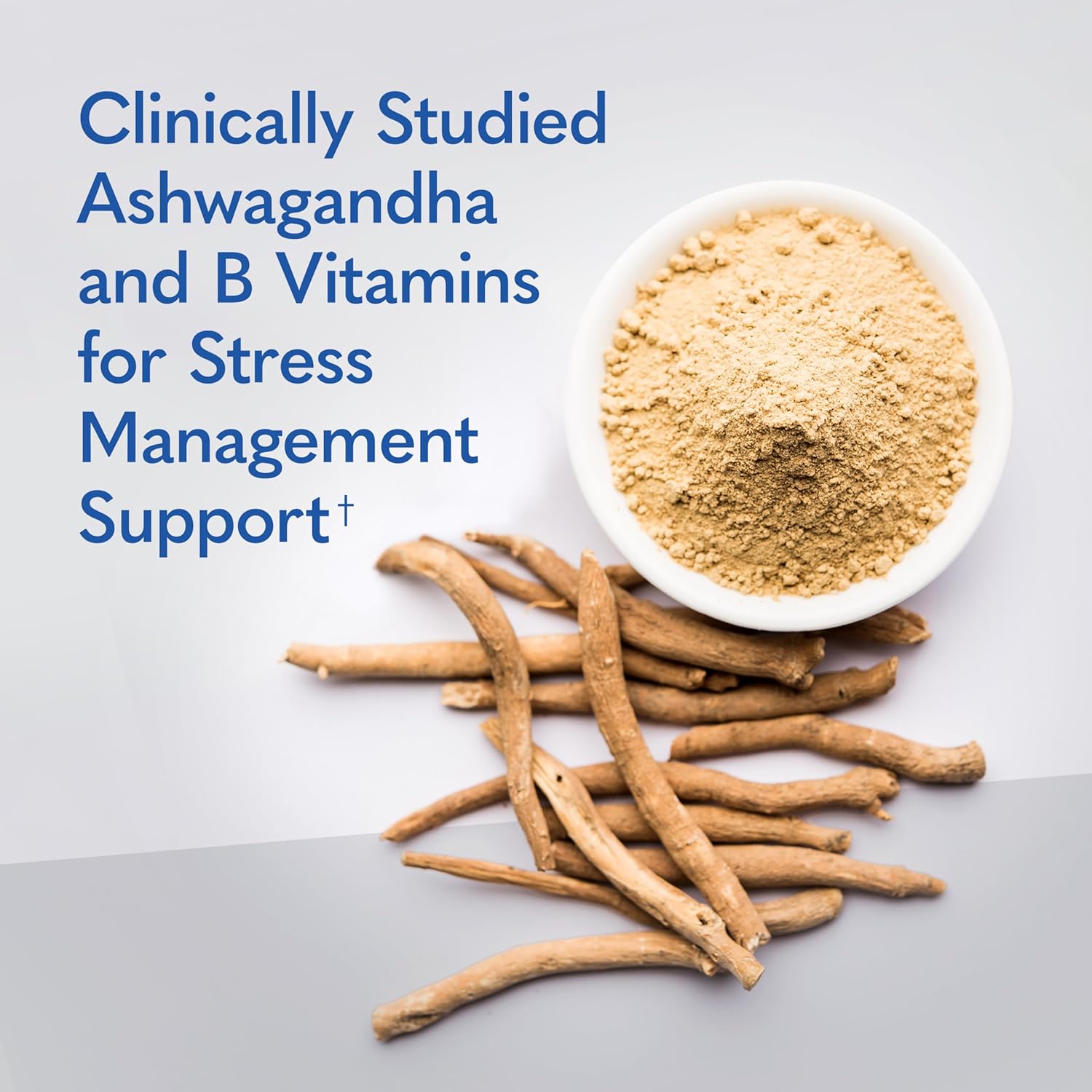 Dr. Formulated Multi+ Stress & Mood with Ashwagandha - 60 Capsules, Fermented Liposomal Multivitamin with Probiotics & B Vitamins