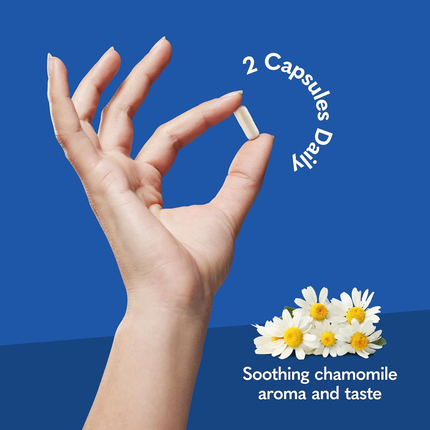 Dr. Formulated Multi+ Stress & Mood with Ashwagandha - 60 Capsules, Fermented Liposomal Multivitamin with Probiotics & B Vitamins