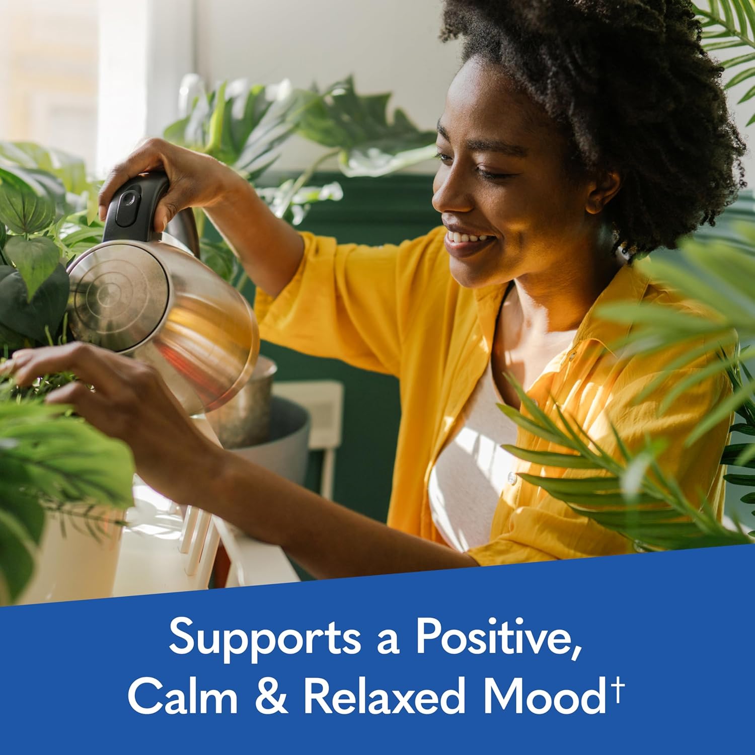 Dr. Formulated Multi+ Stress & Mood with Ashwagandha - 60 Capsules, Fermented Liposomal Multivitamin with Probiotics & B Vitamins