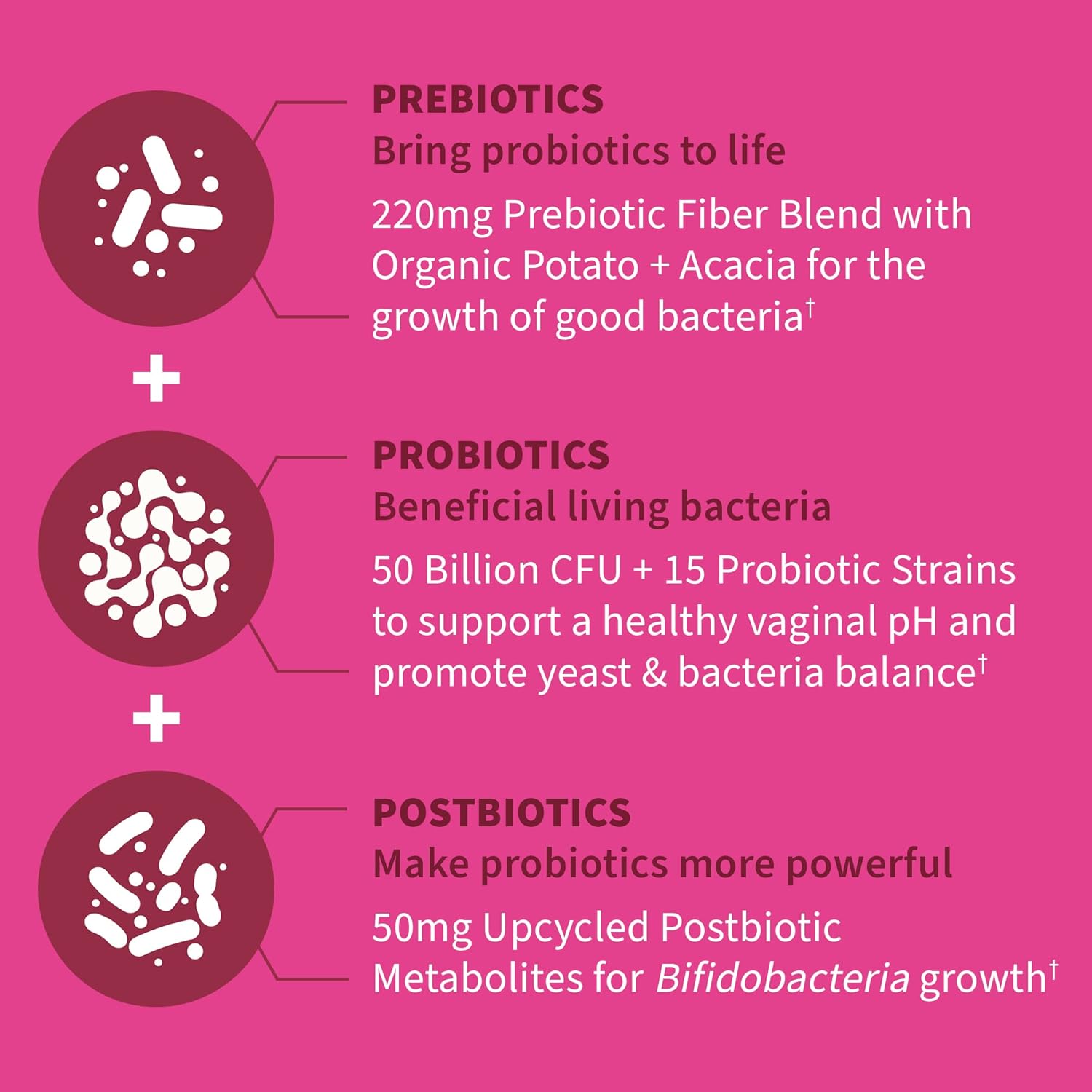 Dr. Formulated Women's pH Probiotics 50 Billion CFU - Digestive, Immune, and Vaginal Support - 30 Vegetarian Capsules