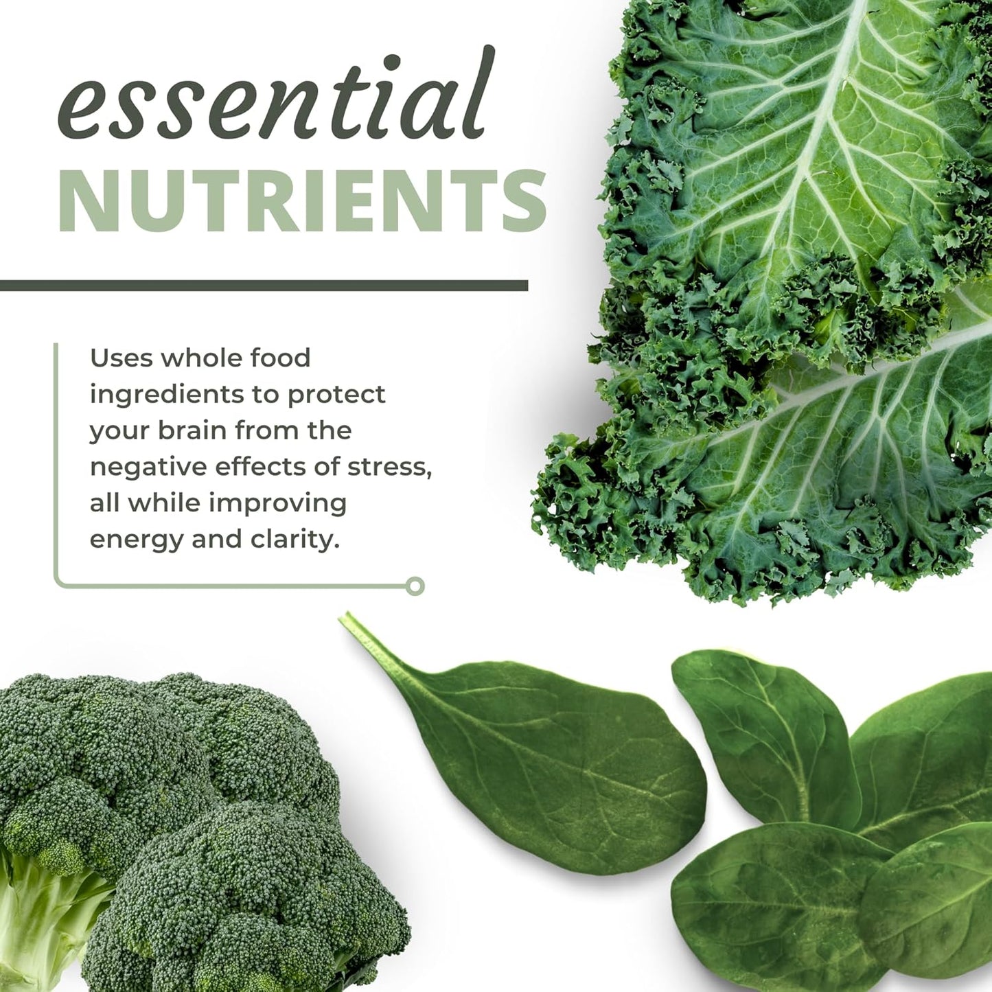 Dr. Harris Essentials NADH + DIM Supplement for Energy and Neurotransmitter Health - Plant-Based Formula for Mental Clarity, Concentration, and Memory Boost - 30 Capsules