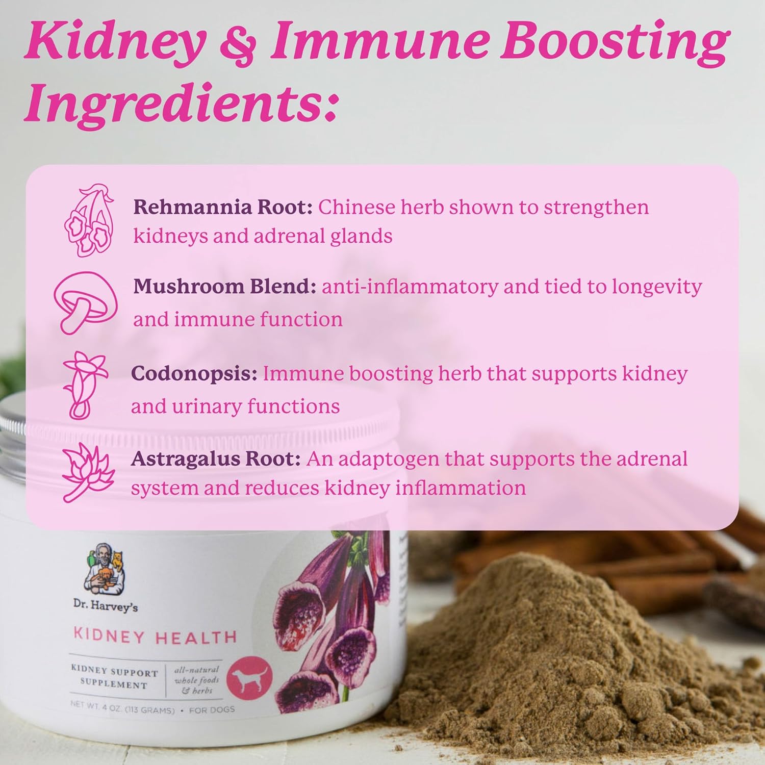 Dr. Harvey's Kidney Support Supplement for Dogs - Promotes Kidney Health (4 oz)