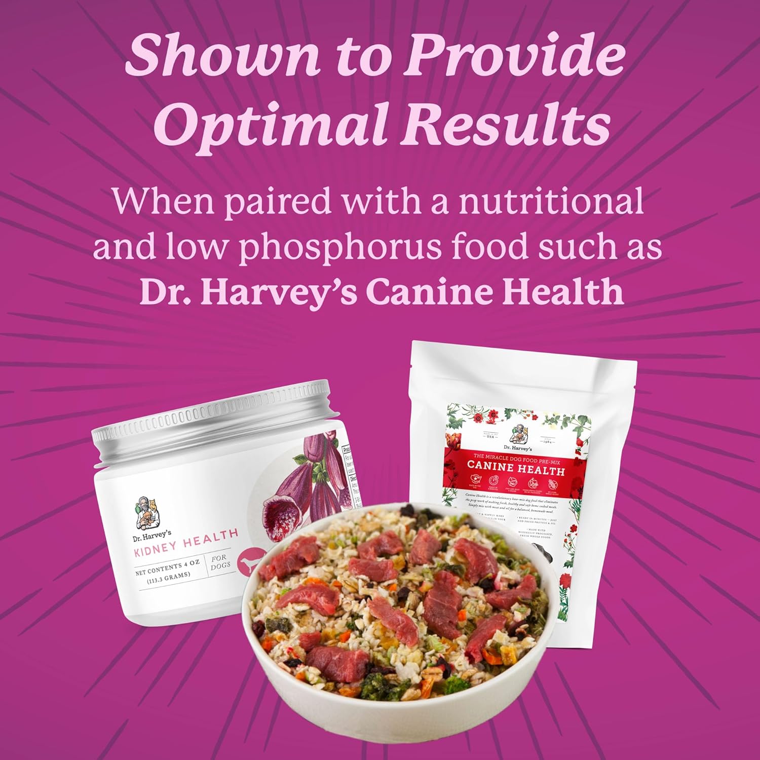 Dr. Harvey's Kidney Support Supplement for Dogs - Promotes Kidney Health (4 oz)