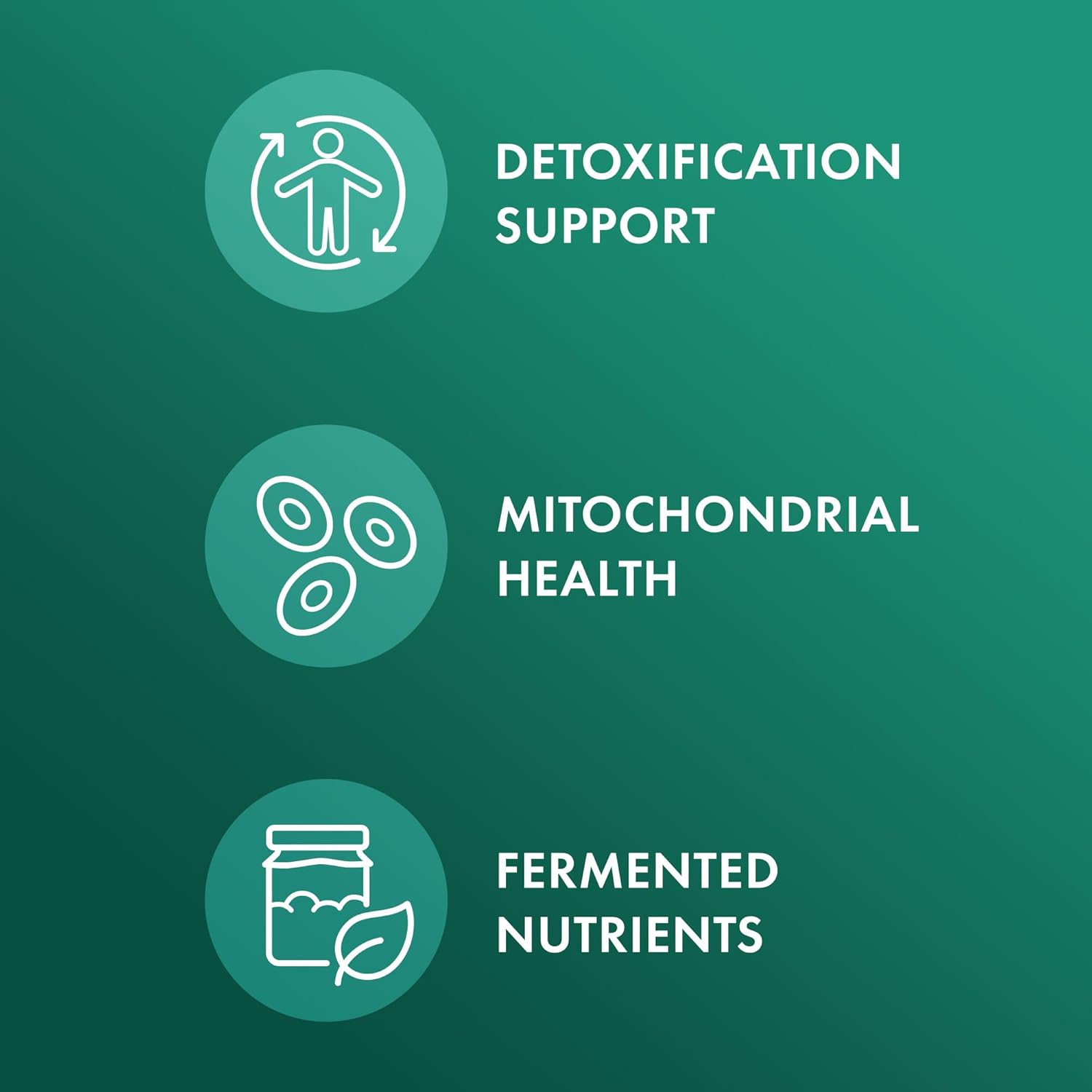 Dr. Mercola Fermented Broccoli Sprouts Capsules - 30 Servings - Dietary Supplement for Detox Support - Non-GMO Fermented Nutrients