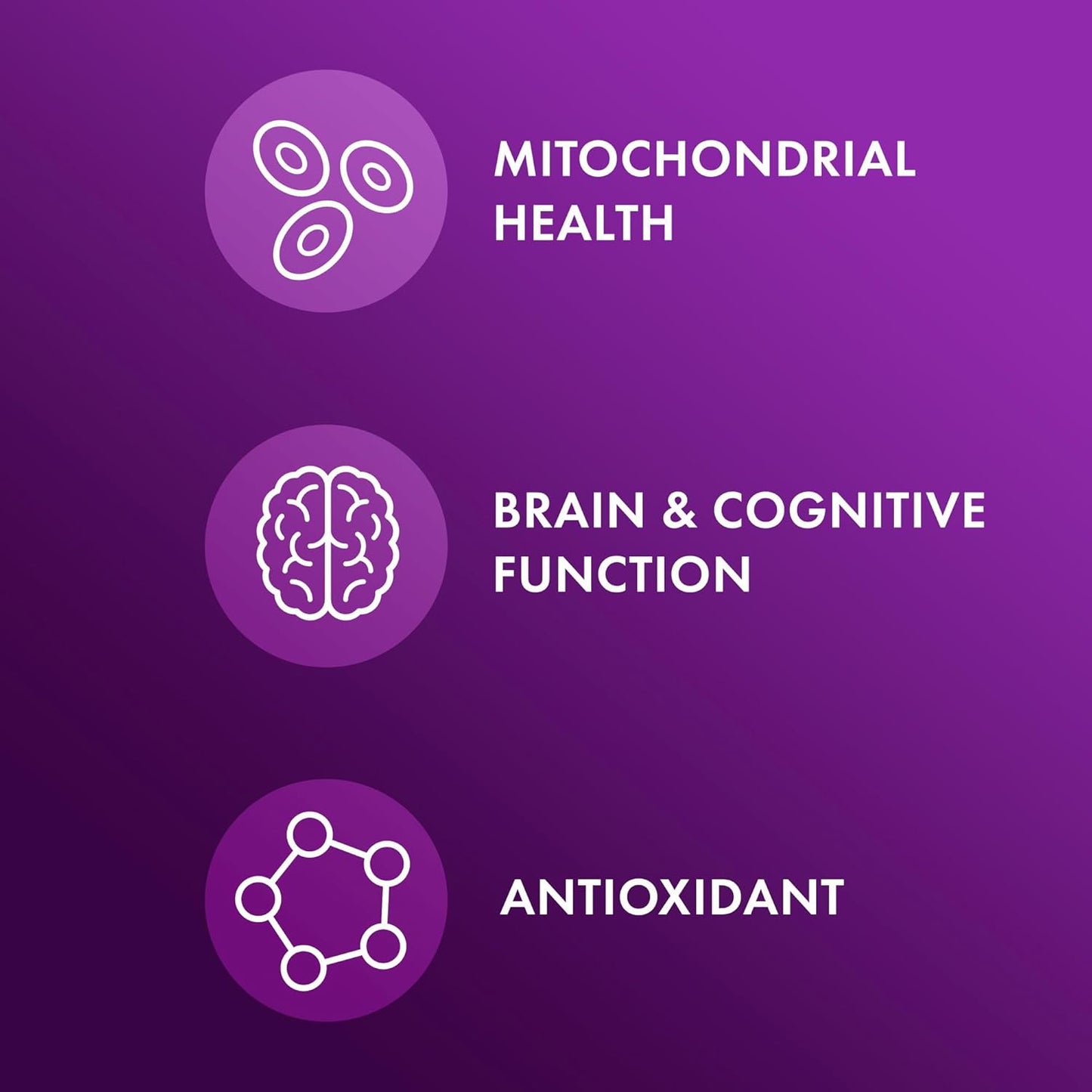 Dr. Mercola Fisetin and Spermidine Capsules - Brain and Cognitive Support - 30 Servings