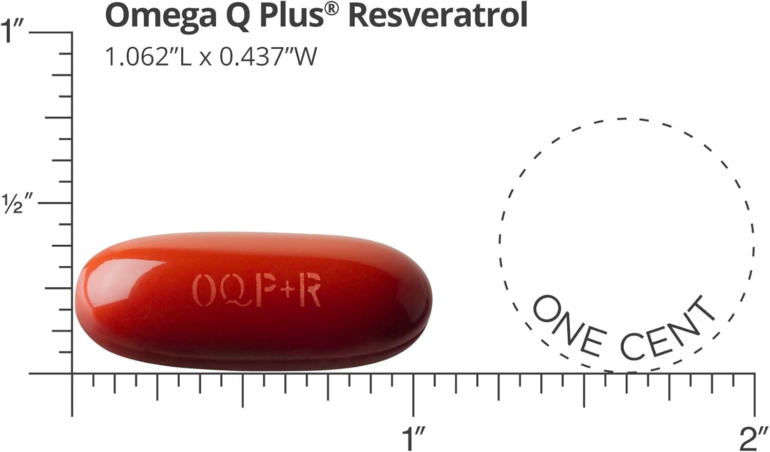 Dr. Sinatra Omega Q Plus Resveratrol Softgels - Heart & Body Health Supplement with Omega-3, CoQ10, Resveratrol - 180 Count