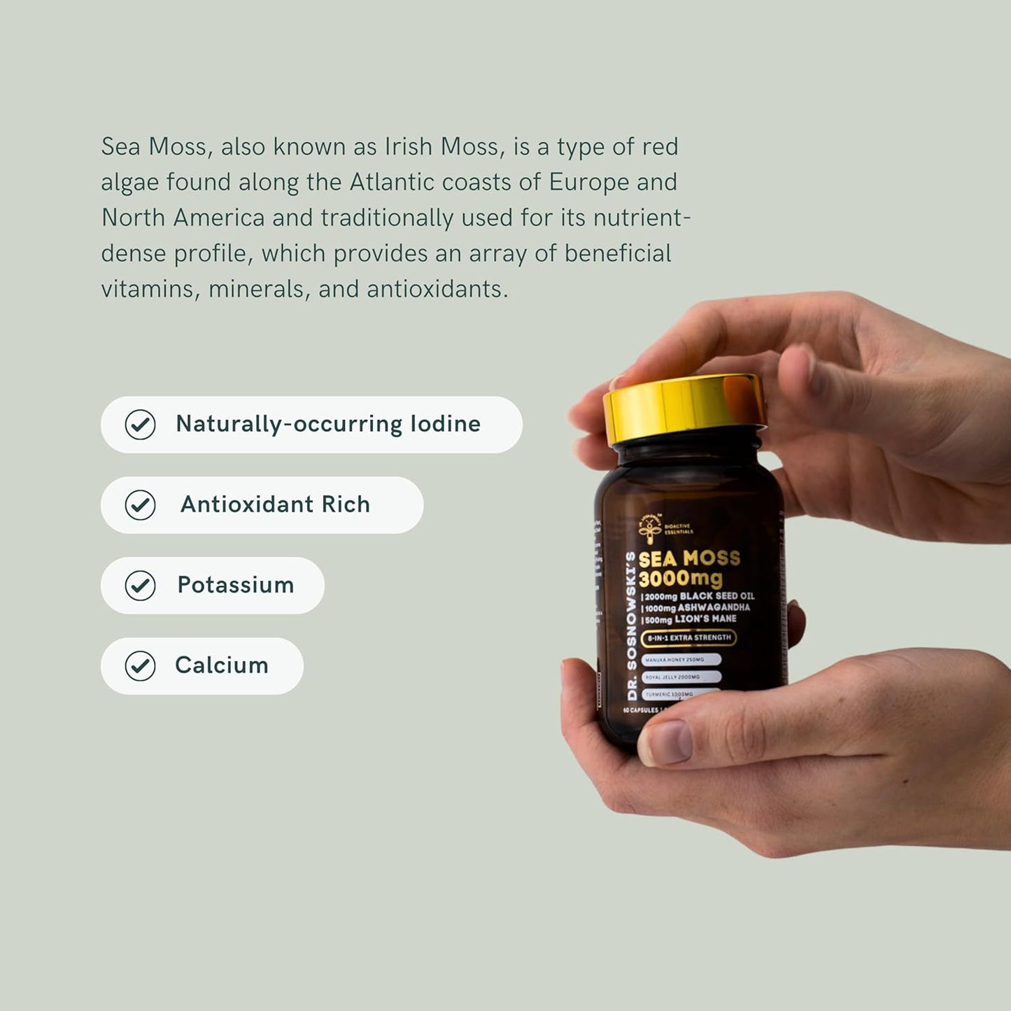 Dr Sosnowski's BioActive Seamoss 8-in-1 Formula Capsules with Powerful Herbal Extracts | 60 Capsules