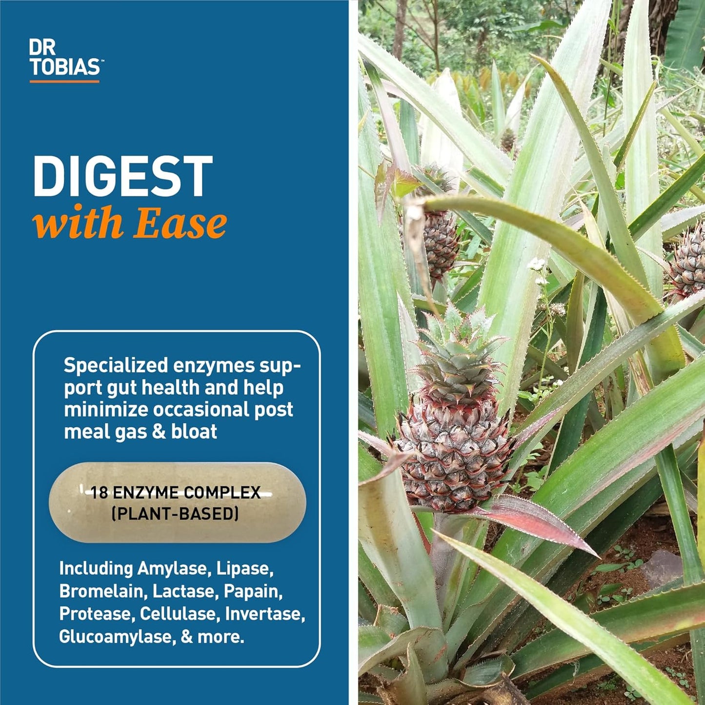 Dr. Tobias Omega 3 Fish Oil with Digestive Enzymes - Promotes Heart, Brain, Immune Function, and Digestive Wellness