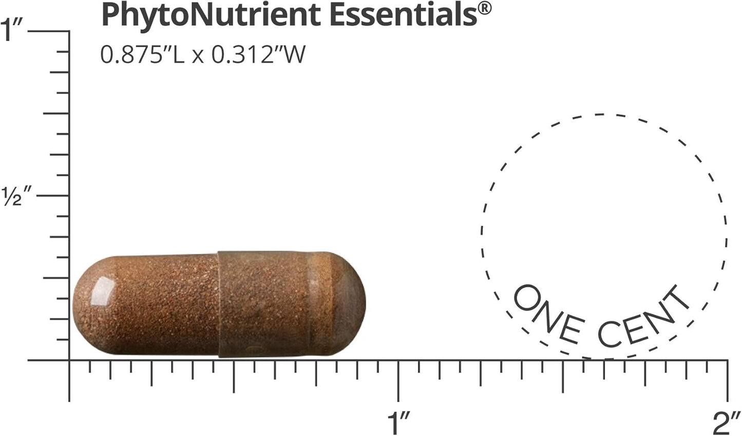 Dr. Whitaker's Forward Plus Daily Regimen - Multivitamin Supplement for Energy, Strength, and Vitality - 60 Packets