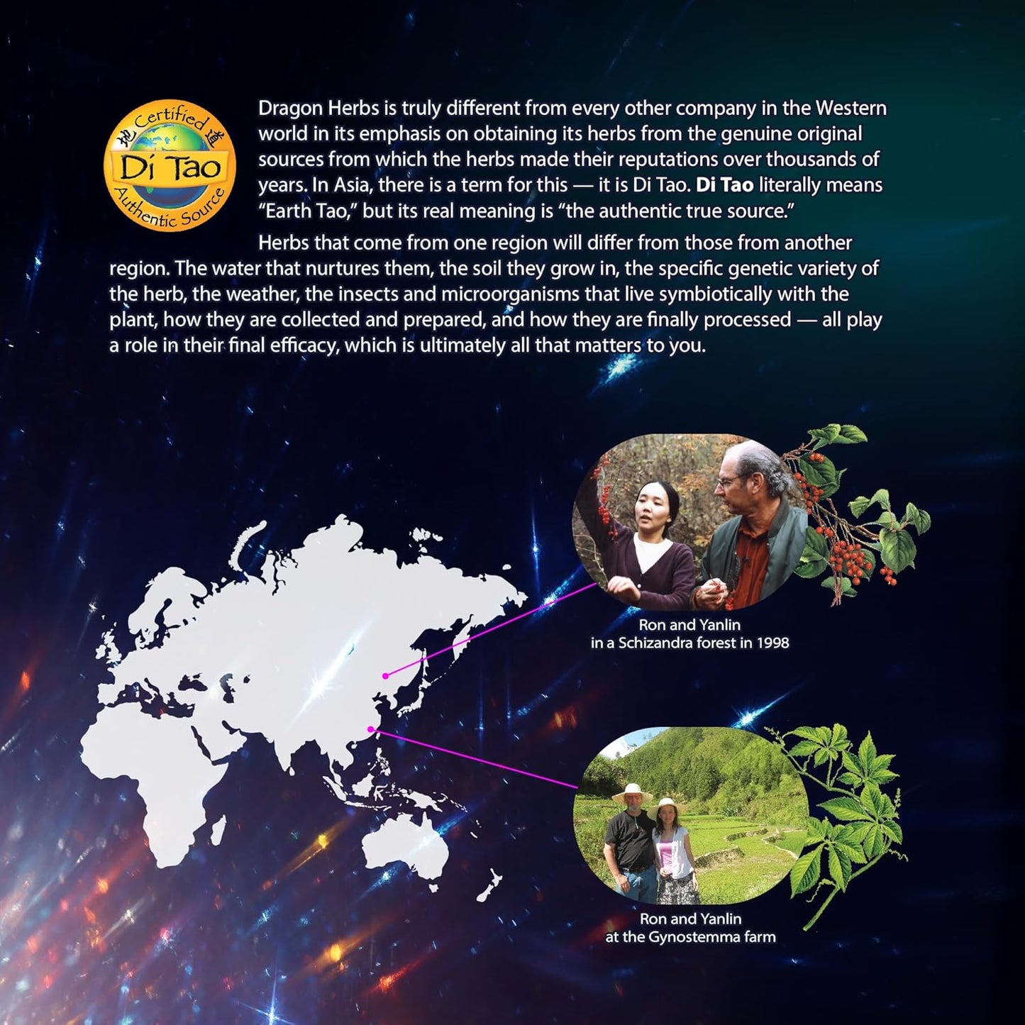 Dragon Herbs Diamond Mind Capsules - 500mg - 100 Count by Ron Teeguarden