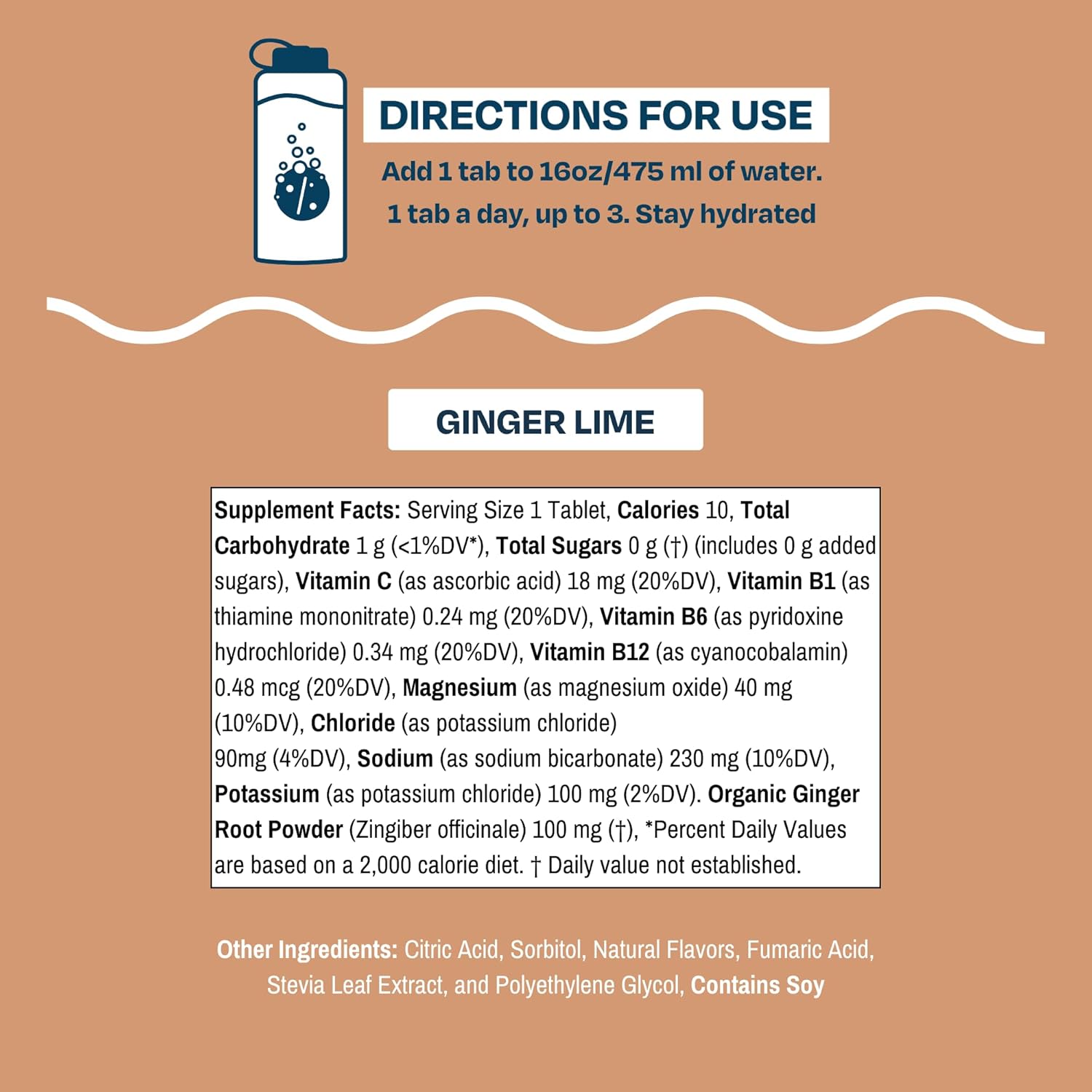 Drinklits Ginger Lime Electrolyte Tablets: Sugar-Free Hydration Solution with Essential Electrolytes - 10 Tablets
