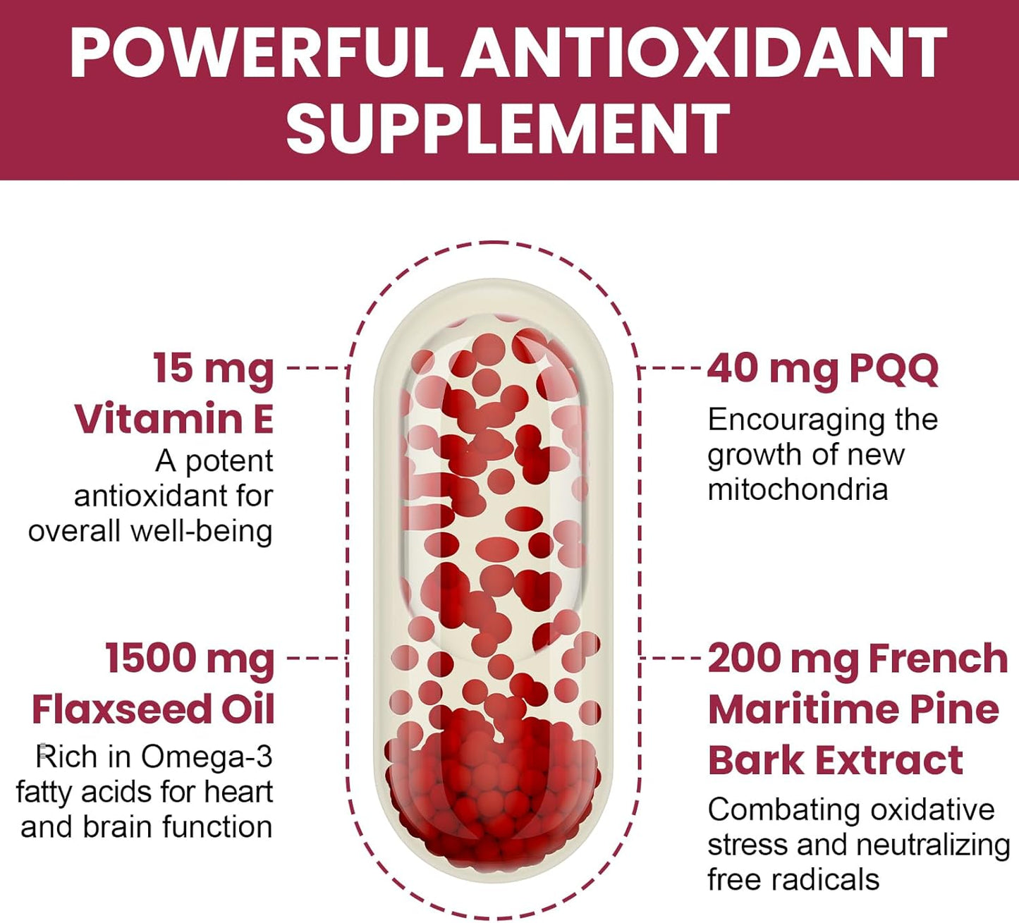 Dual-Delivery French Maritime Pine Bark Extract + Liposomal Quercetin Phytosome - 1600 MG Formula for Vigorizing