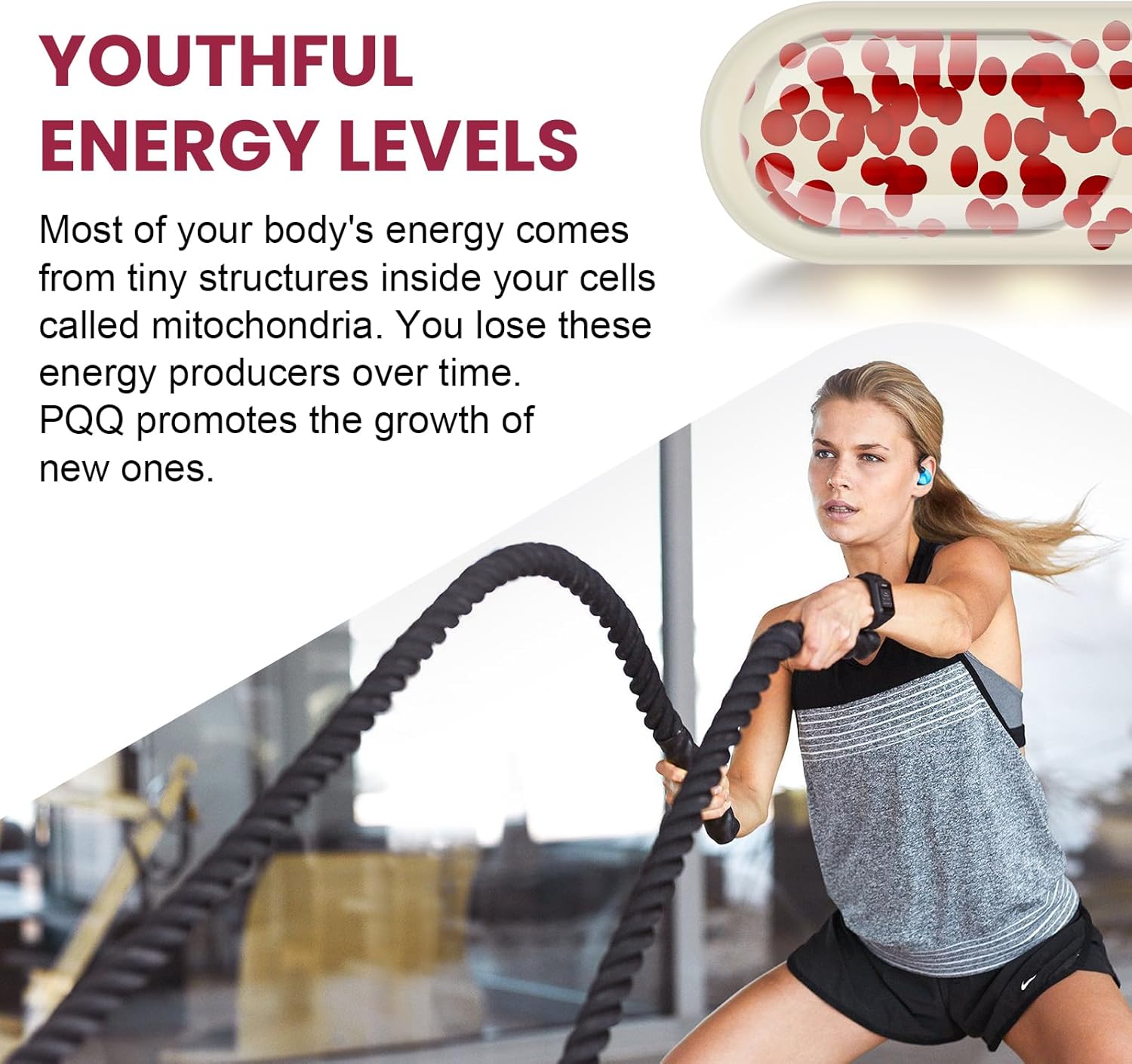 Dual-Delivery French Maritime Pine Bark Extract + Liposomal Quercetin Phytosome - 1600 MG Formula for Vigorizing