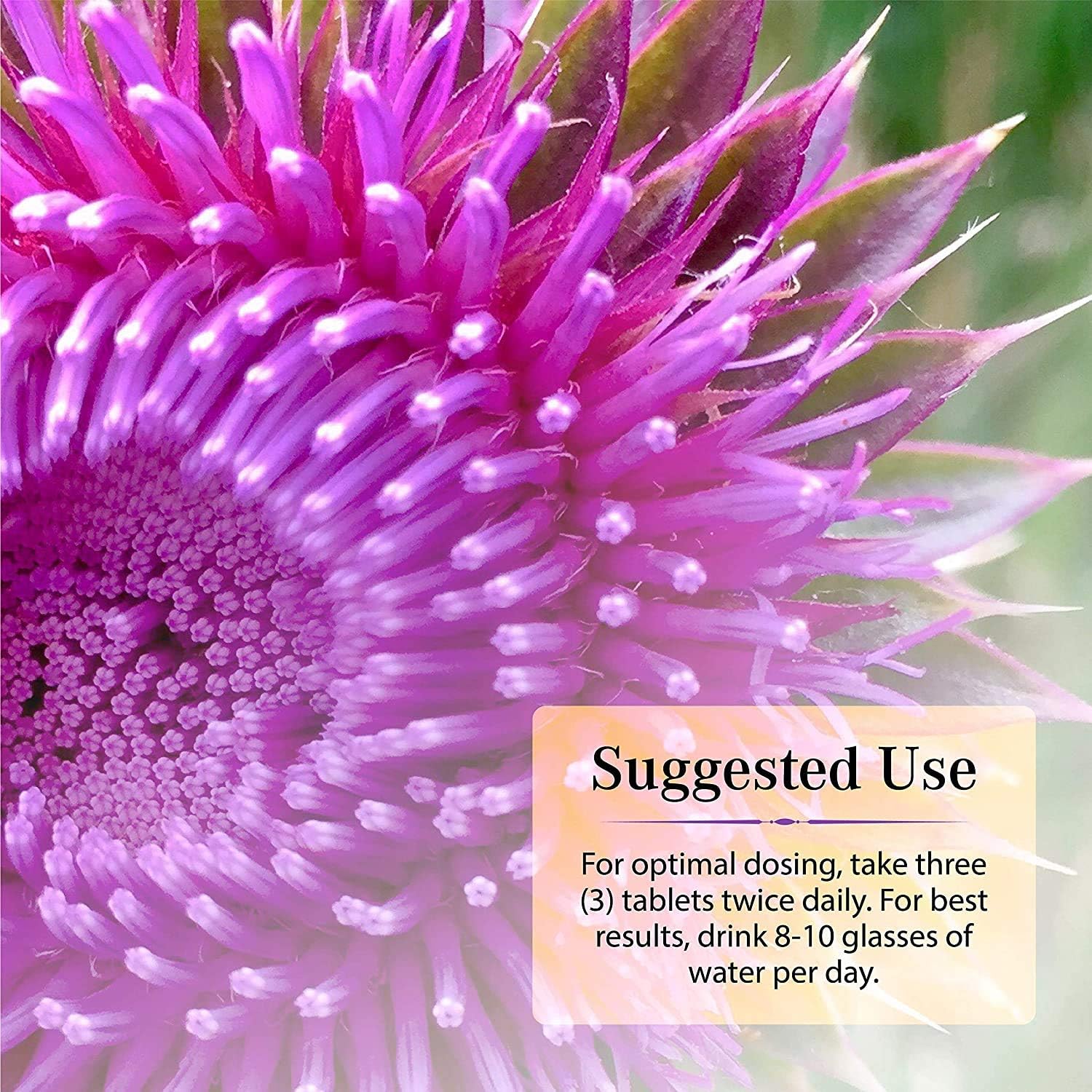 Dual Pack Nature's Secret Milk Thistle Liver Cleanse - 120 Tablets Total