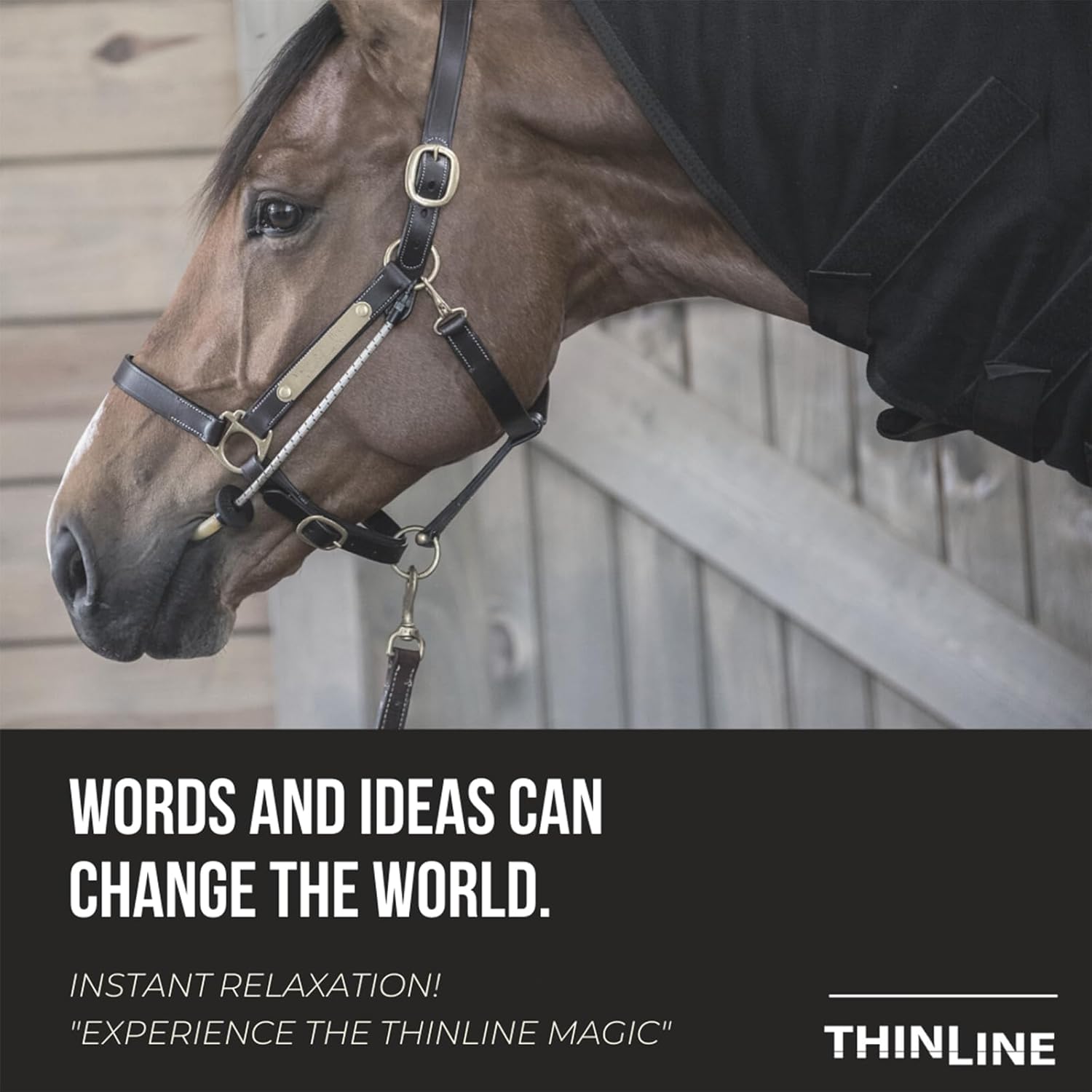 Durable and Versatile Equestrian Tack Accessory for Horse Calming - Thinline Busy Buddy Relaxation Tool with Latex Mouth Piece