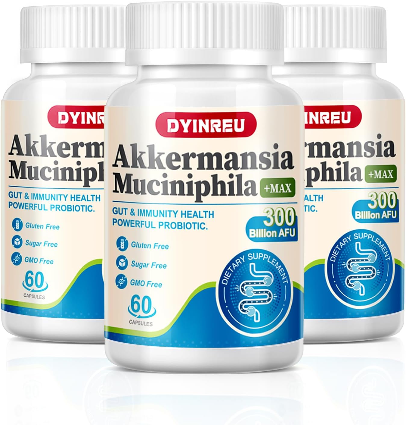 DYINREU Akkermansia Muciniphila 300 Billion AFU Probiotics Capsules for Digestive and Immune Health, Supports Gut Lining & Function for Men and Women - 60 Count