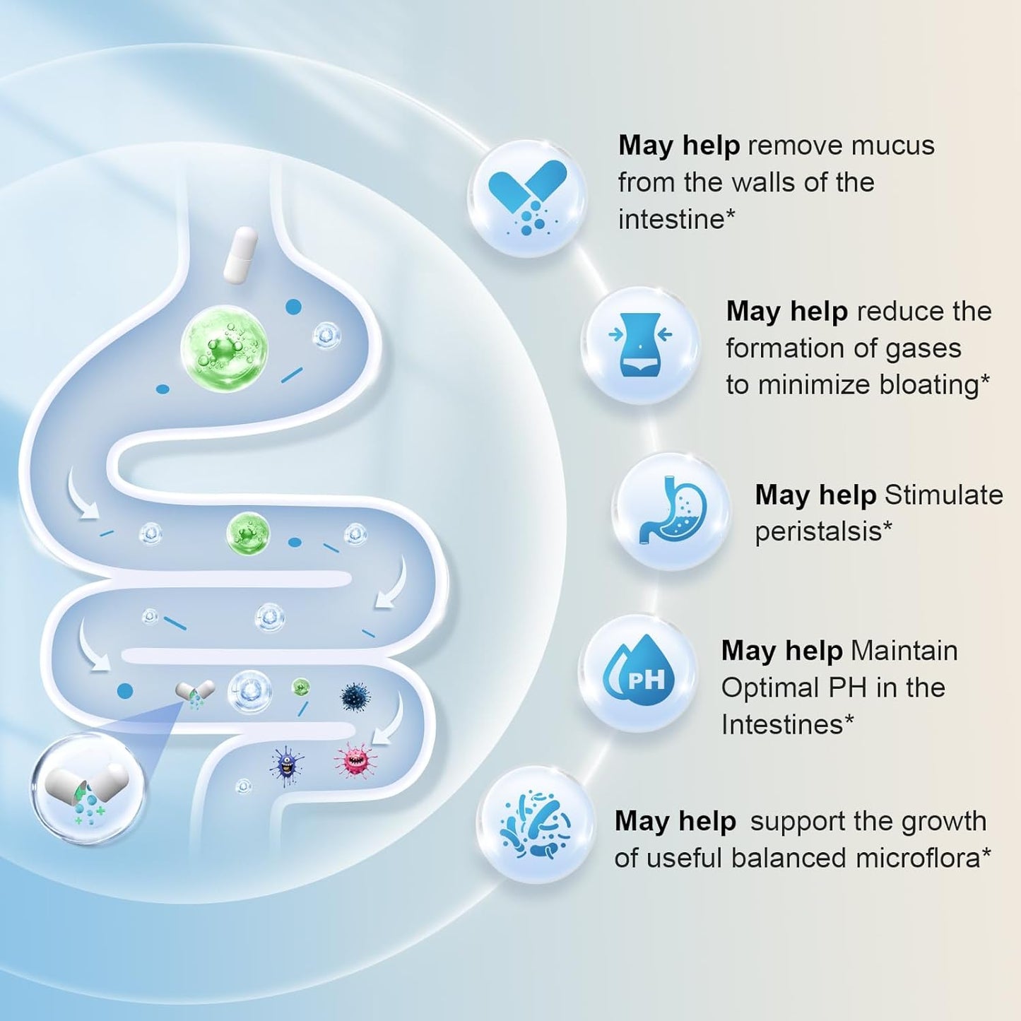 DYINREU Akkermansia Muciniphila 300 Billion AFU Probiotics Capsules for Digestive and Immune Health, Supports Gut Lining & Function for Men and Women - 60 Count