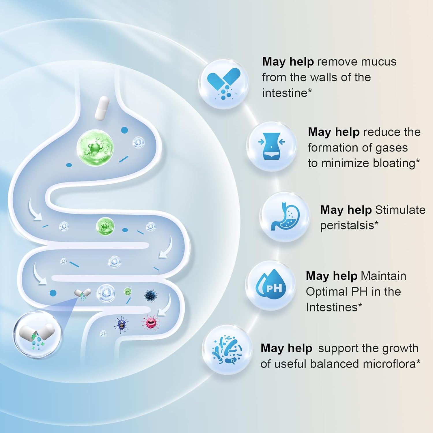 DYINREU Akkermansia Muciniphila 300 Billion AFU Probiotics Capsules for Digestive and Immune Health, Supports Gut Lining & Function for Men and Women - 60 Count