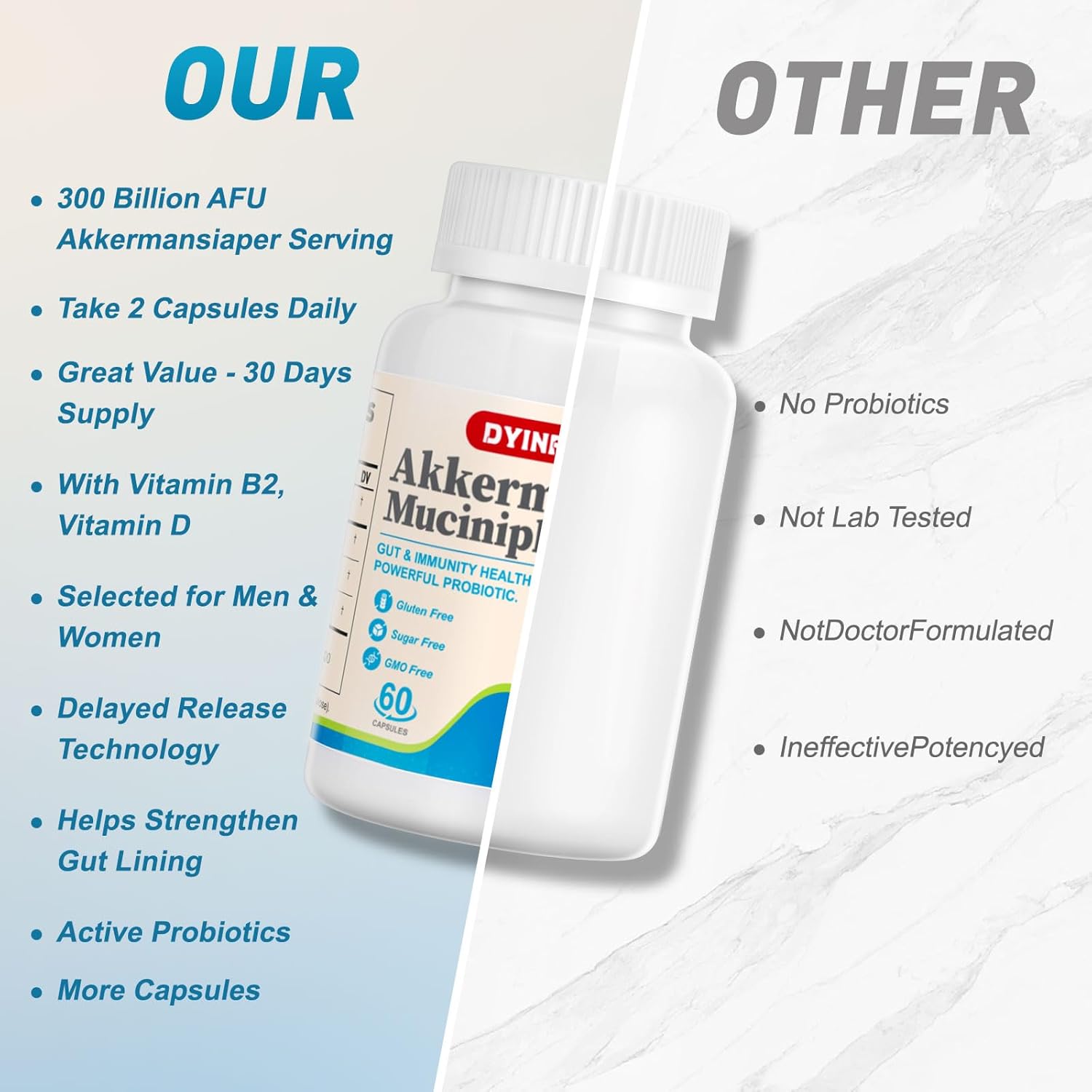 DYINREU Akkermansia Muciniphila 300 Billion AFU Probiotics Capsules for Digestive and Immune Health, Supports Gut Lining & Function for Men and Women - 60 Count