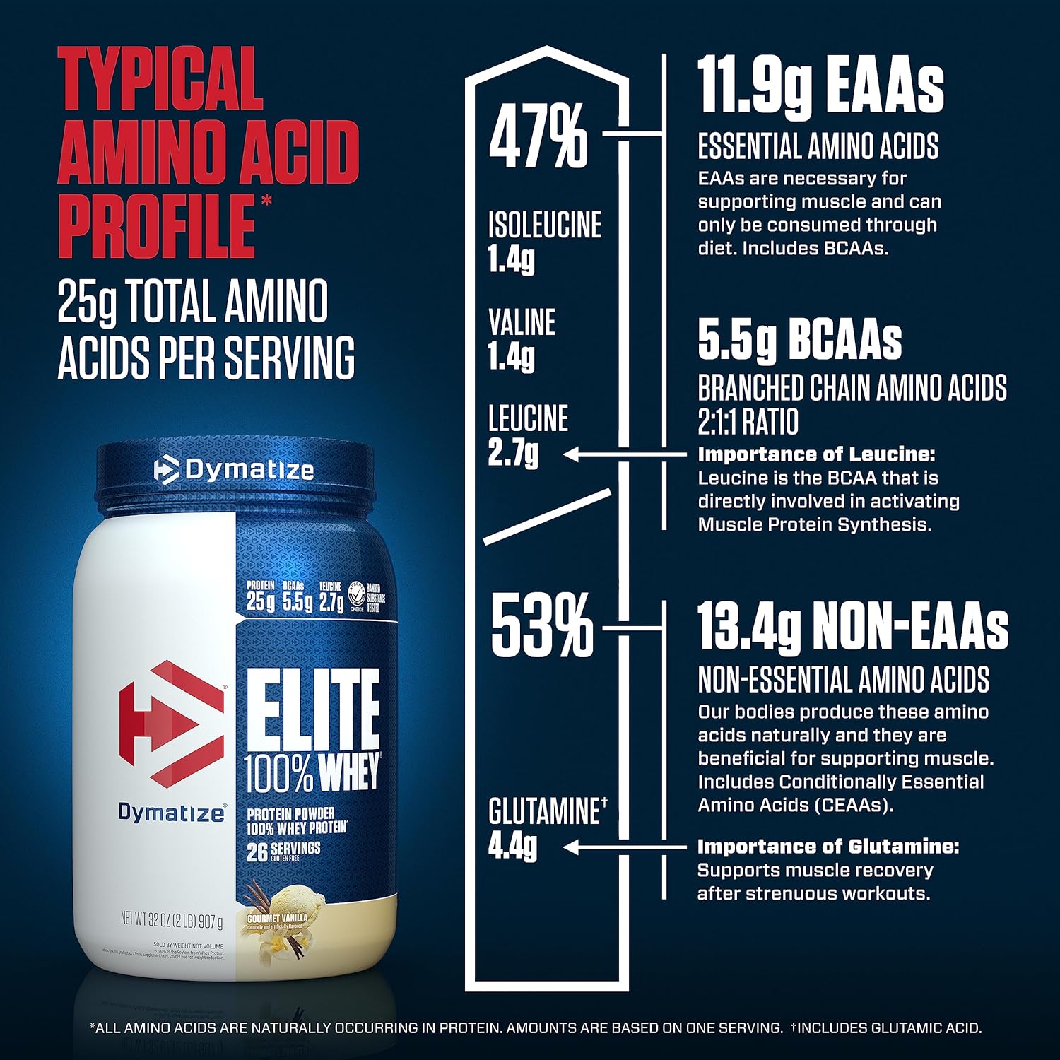 Dymatize Elite Whey Protein Powder with L-Leucine for Muscle Recovery, Gourmet Vanilla Flavor - 32 Oz