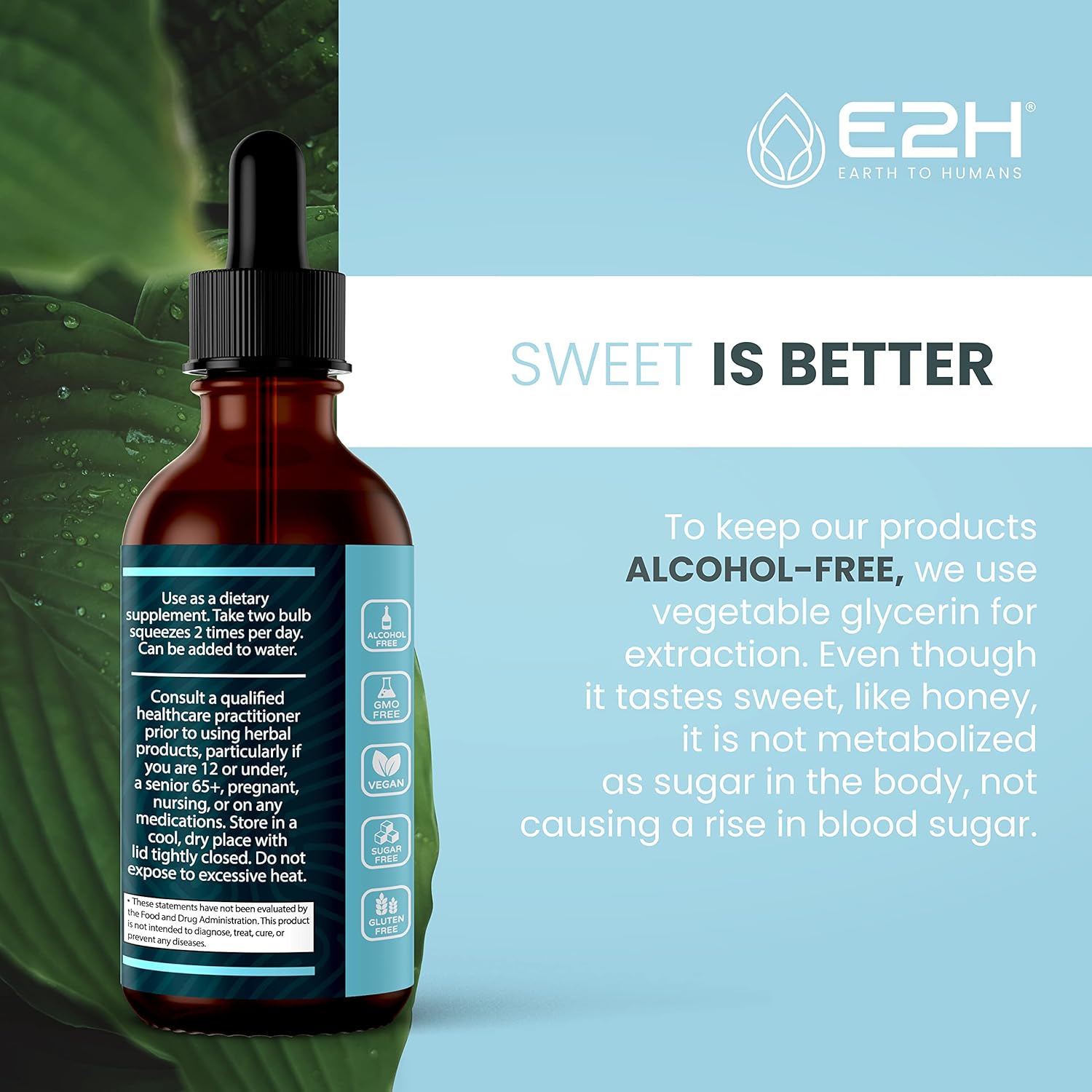 E2H Advanced Immune Defense Supplement - All-Natural Immune Booster with Holy Basil and Papaya Leaves - Vegan Drops - 2 Fl Oz