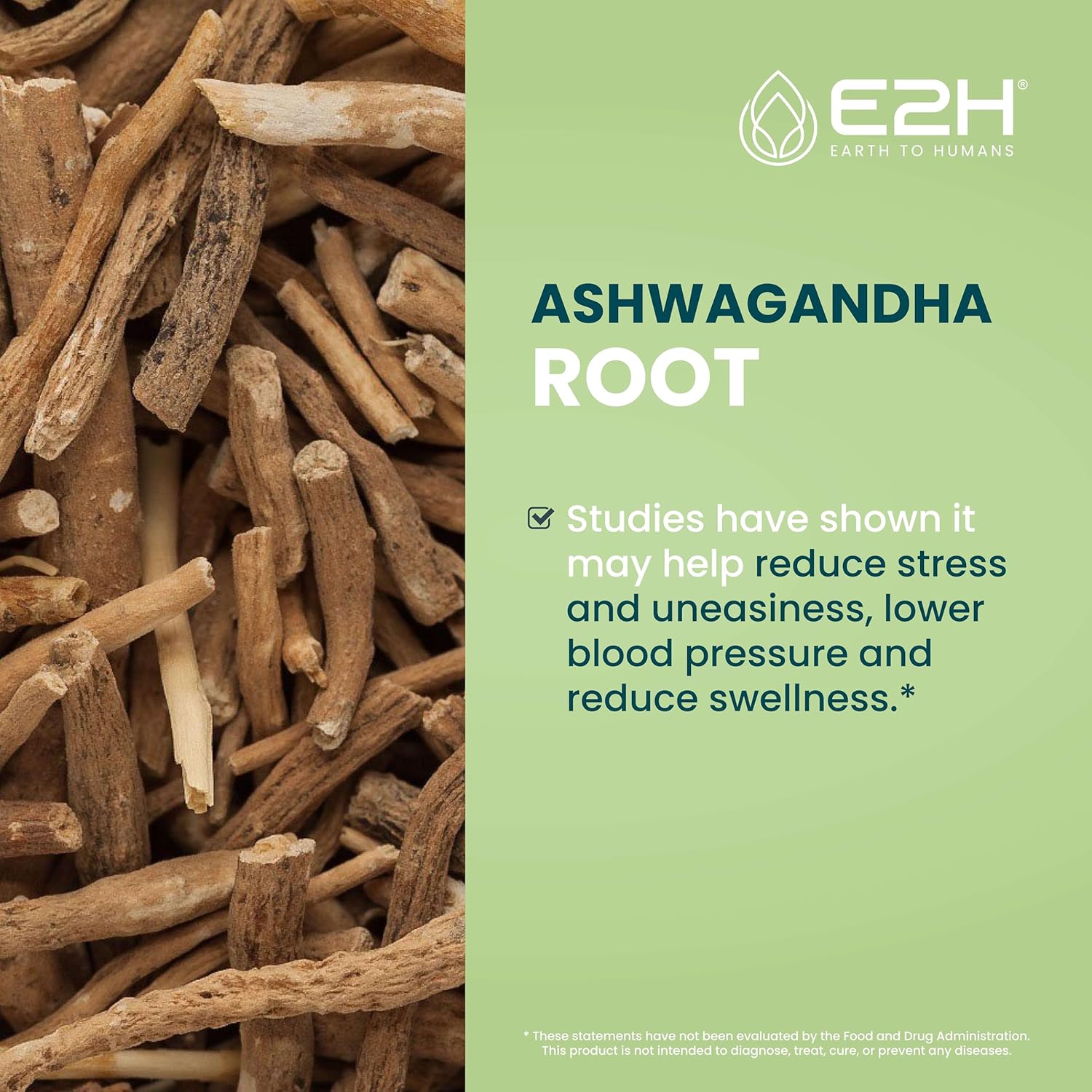 E2H Ashwagandha Liquid Drops - Organic Stress Relief Supplement for Mood Enhancement - Cortisol Manager for Vegan Non-GMO Wellness (3 Bottles)
