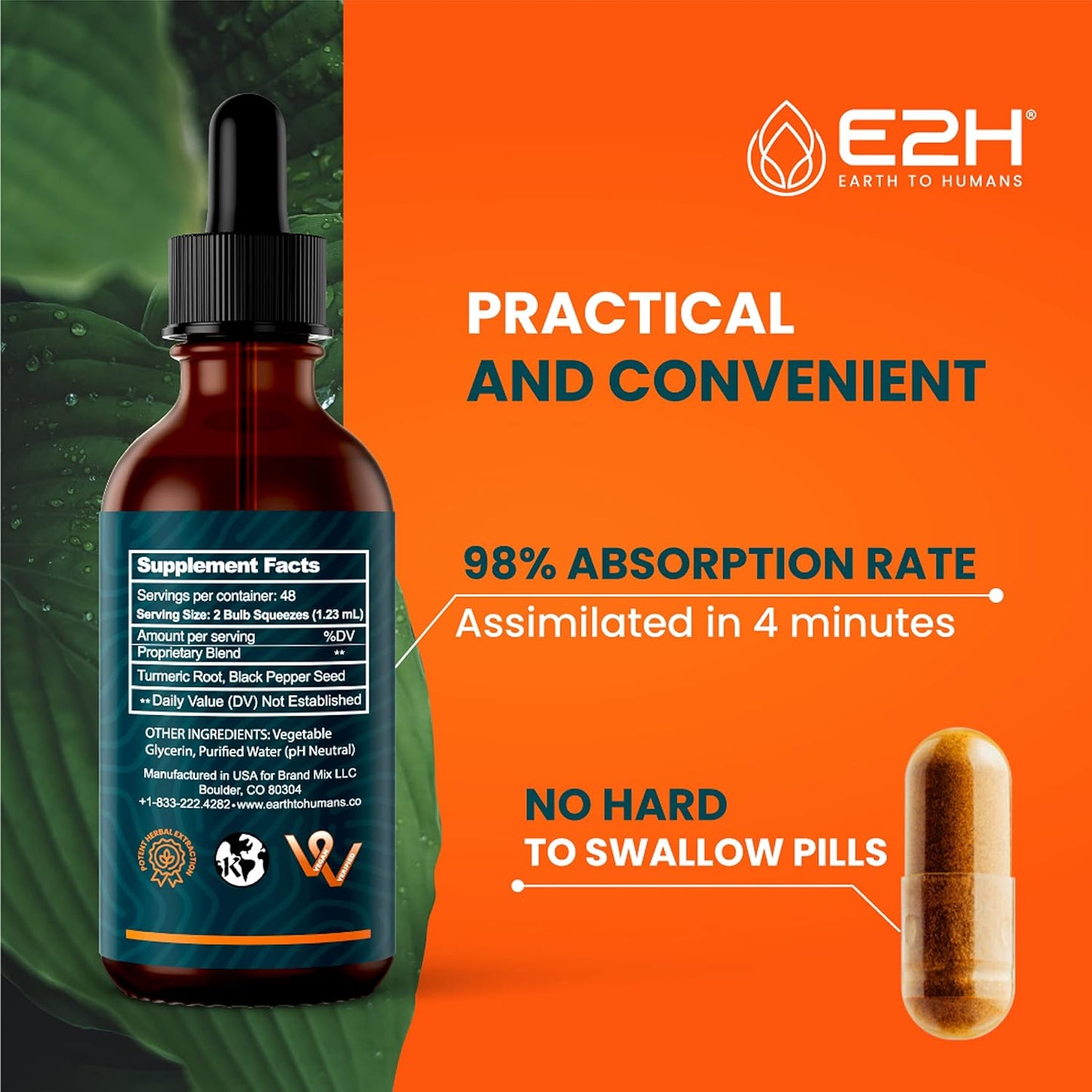E2H Earth to Humans Turmeric Curcumin Drops with Black Pepper - Joint Support Supplement - Vegan - Non-GMO - 2 Bottles